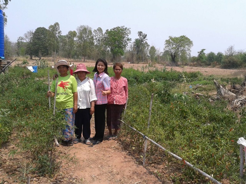 22 เม.ย.59 จังหวัดมหาสารคาม ร่วมกับ คกส.จ.มหาสารคาม ประชุมคณะกรรมการกองทุนพัฒนาสตรีจังหวัดมหาสารคาม ตามแผนการดำเนินงานกิจการบริหารและแผนการใช้จ่ายงบประมาณ ประจำปี 2559