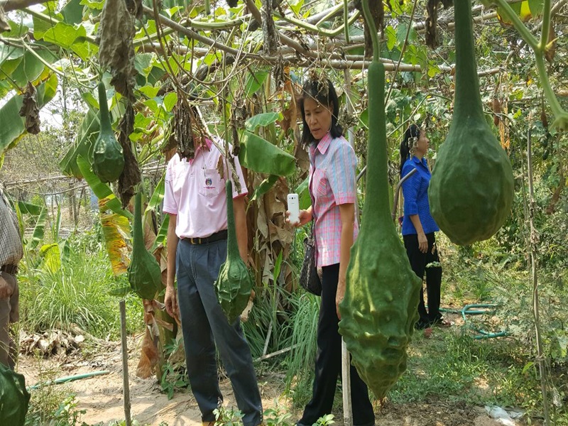 22 เม.ย.59 จังหวัดมหาสารคาม ร่วมกับ คกส.จ.มหาสารคาม ประชุมคณะกรรมการกองทุนพัฒนาสตรีจังหวัดมหาสารคาม ตามแผนการดำเนินงานกิจการบริหารและแผนการใช้จ่ายงบประมาณ ประจำปี 2559