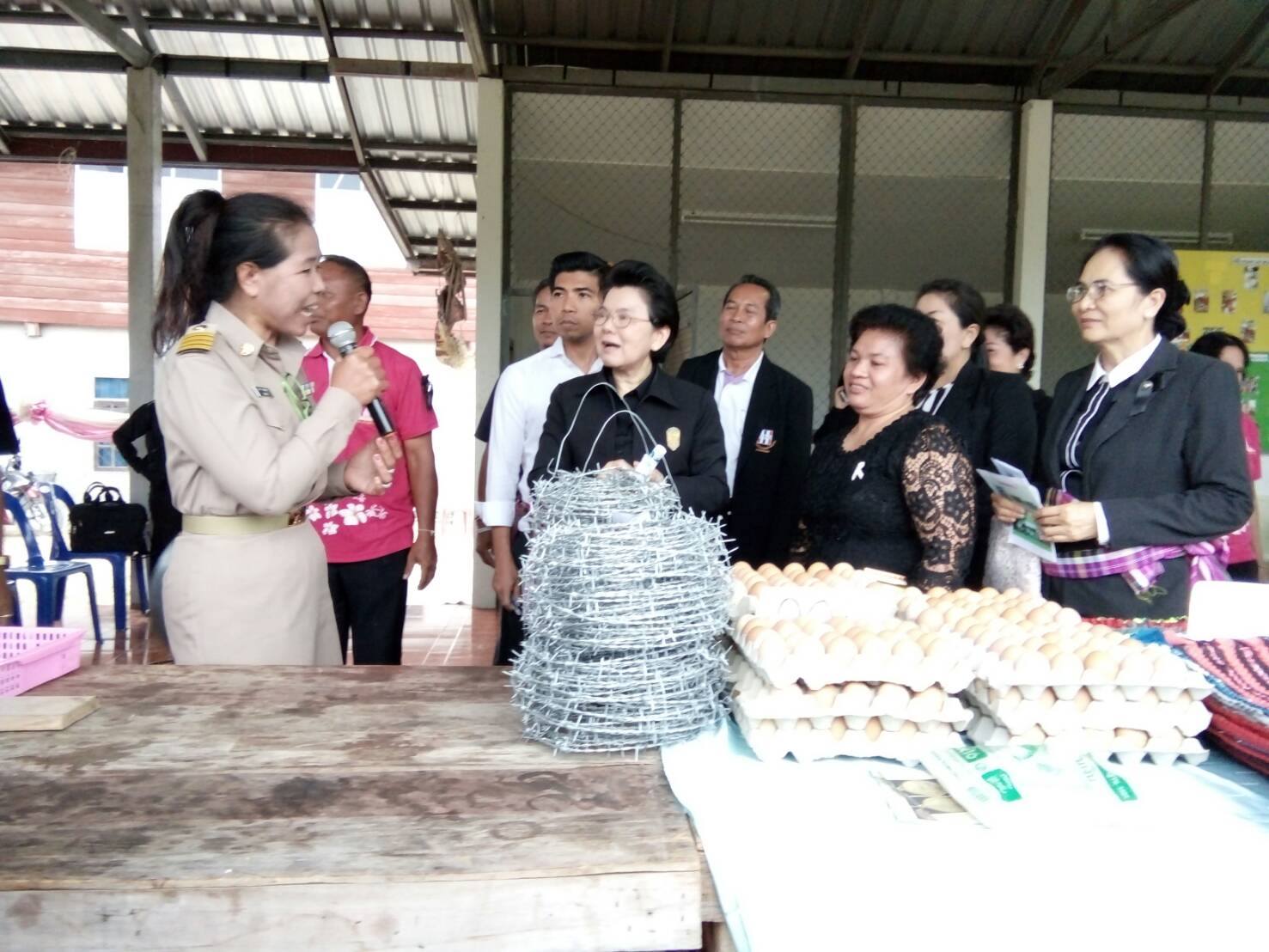 8 มีนาคม 2560   นางภัทรภร   ฐิติยาภรณ์  ผู้ตรวจราชการสำนักนายกรัฐมนตรี เขตตรวจราชการที่ 12 ลงพื้นที่ตรวจติดตามโครงการเพิ่มความเข้มแข็งของเศรษฐกิจฐานรากตามแนวทางประชารัฐ งบประมาณ 500,000 บาท