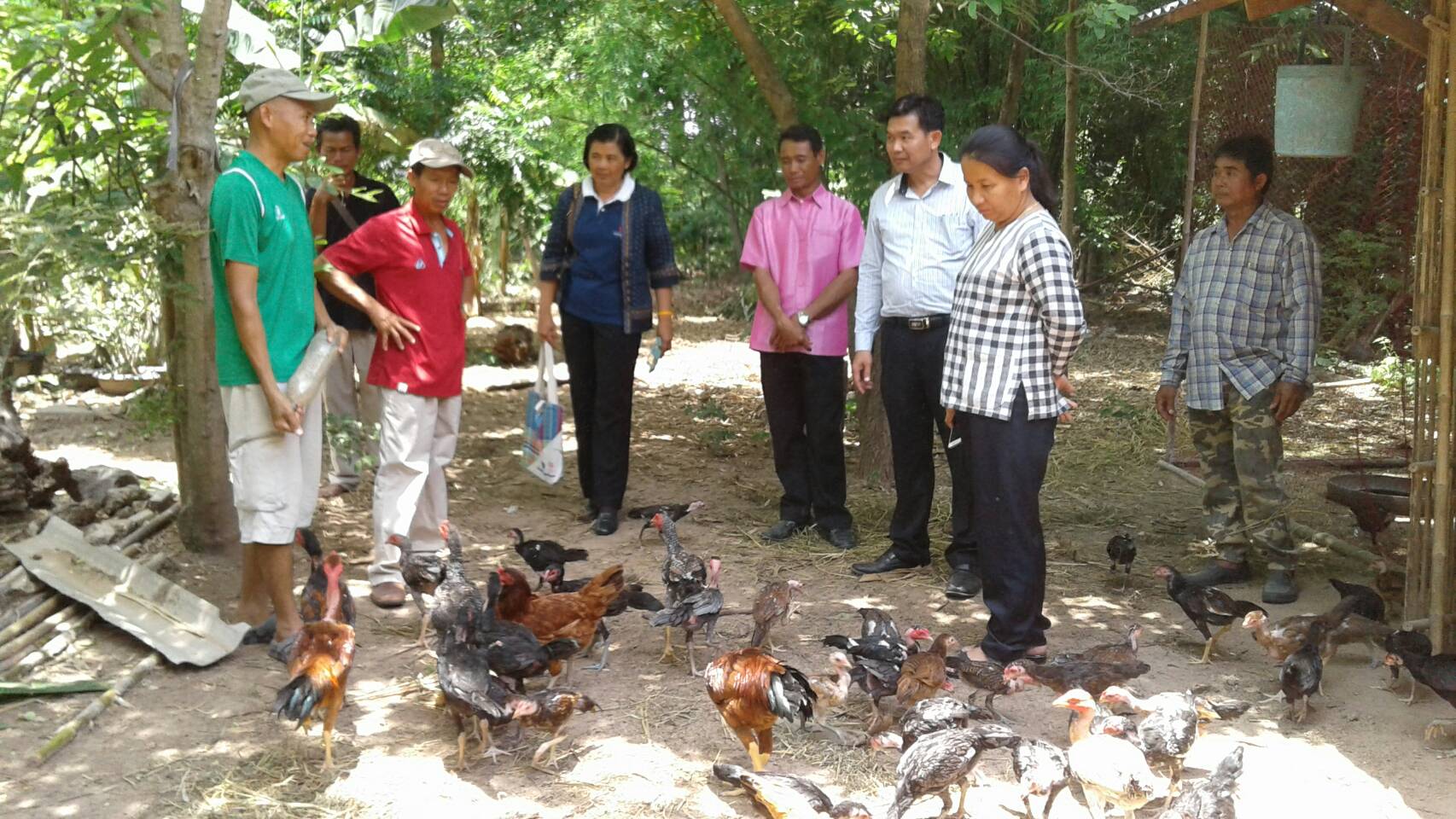 9 พฤษภาคม 2560 นักวิชาการสำนักงานพัฒนาชุมจังหวัดมหาสารคามออกติดตามประเมินผลโครงการมหาสารคามน้อมนำ ปรัชญาเศรษฐกิจพอเพียง เพื่อพัฒนาคุณภาพในชุมชน ตามแผนปฏิบัติราชการจังหวัด ประจำปีงบประมาณ พ.ศ.2560 บ้านโนนรัง หมู่ 2 ตำบลบ้านกู่ อำเภอยางสีสุราช  จังหวัดมหาสารคาม