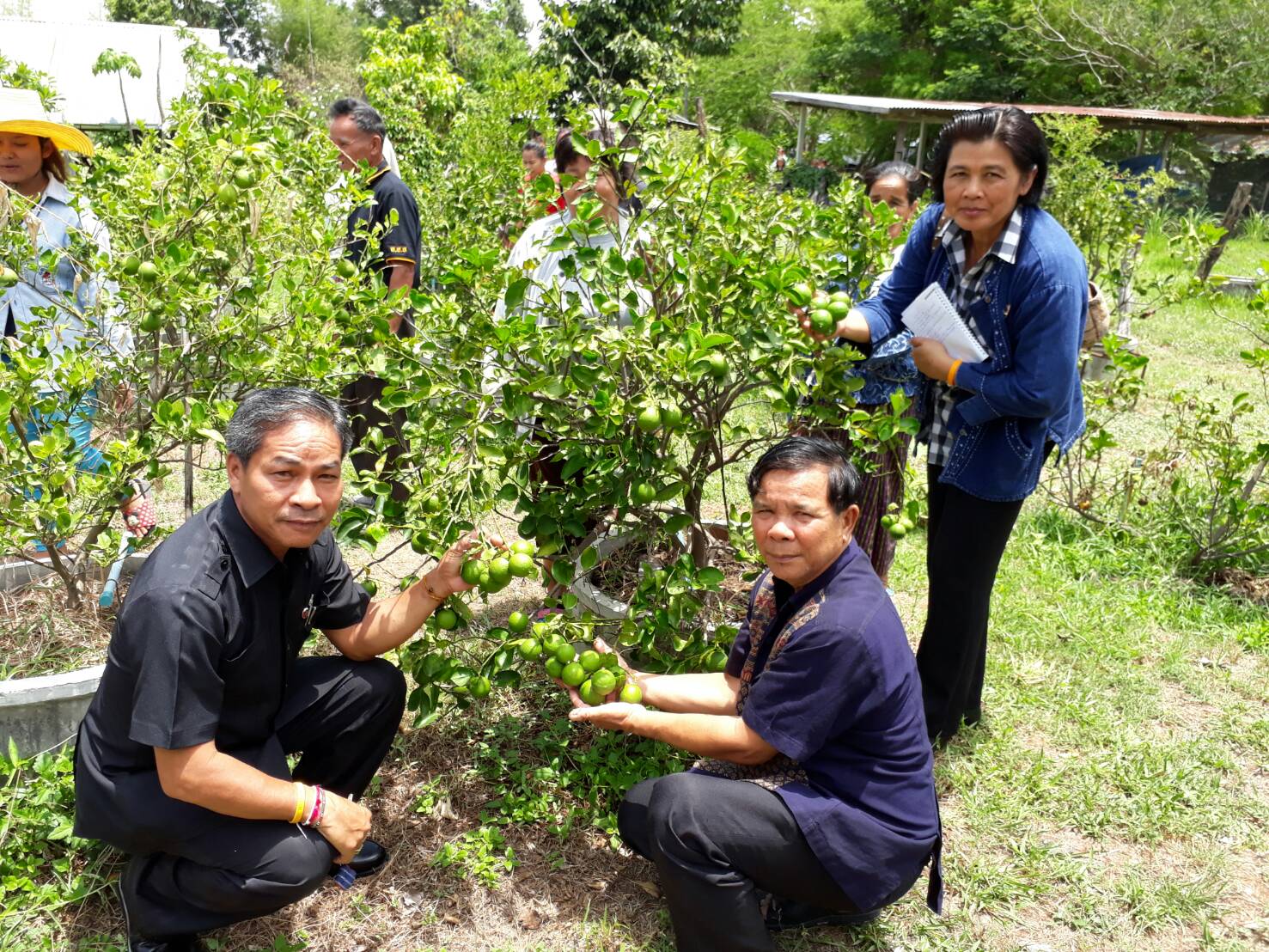 5 พฤษภาคม 2560 นายบุญโฮม งามเลิศ หัวหน้า กลุ่มงานสารสนเทศการพัฒนาชุมชน พร้อมคณะฯ ออกติดตามประเมินผล โครงการมหาสารคามน้อมนำปรัชญาเศรษฐกิจพอเพียง  บ้านดงยาง หมู่ 3 ตำบลนาข่า อำเภอวาปีปทุม จังหวัดมหาสารคาม