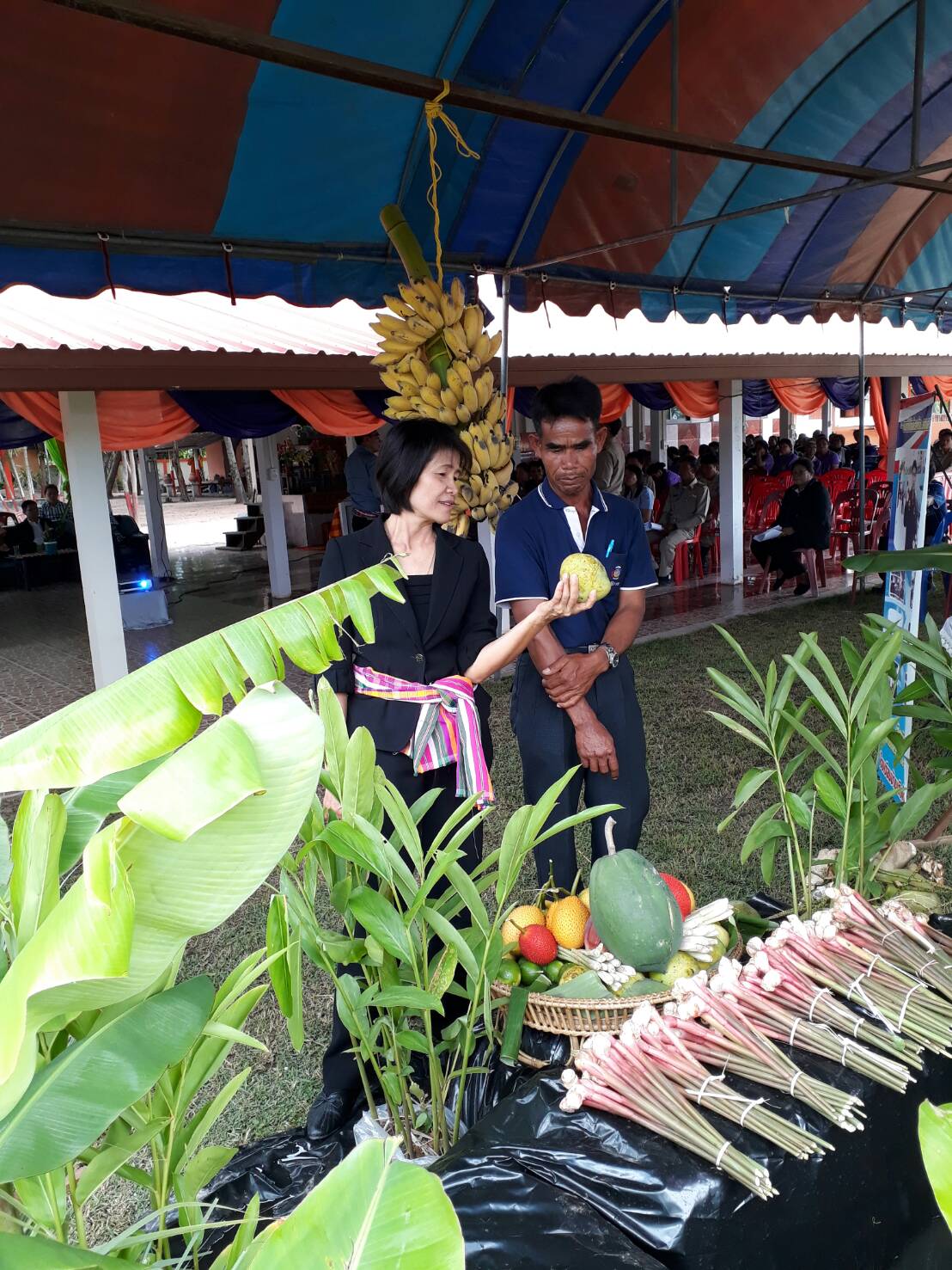 19 มิถุนายน 2560 คณะทำงานคัดสรรหมู่บ้านเศรษฐกิจพอเพียง “อยู่เย็น เป็นสุข” และกิจกรรมพัฒนาชุมชนดีเด่น ระดับจังหวัด ประจำปี 2560 ลงพื้นที่คัดสรรหมู่บ้านเศรษฐกิจพอเพียงฯ