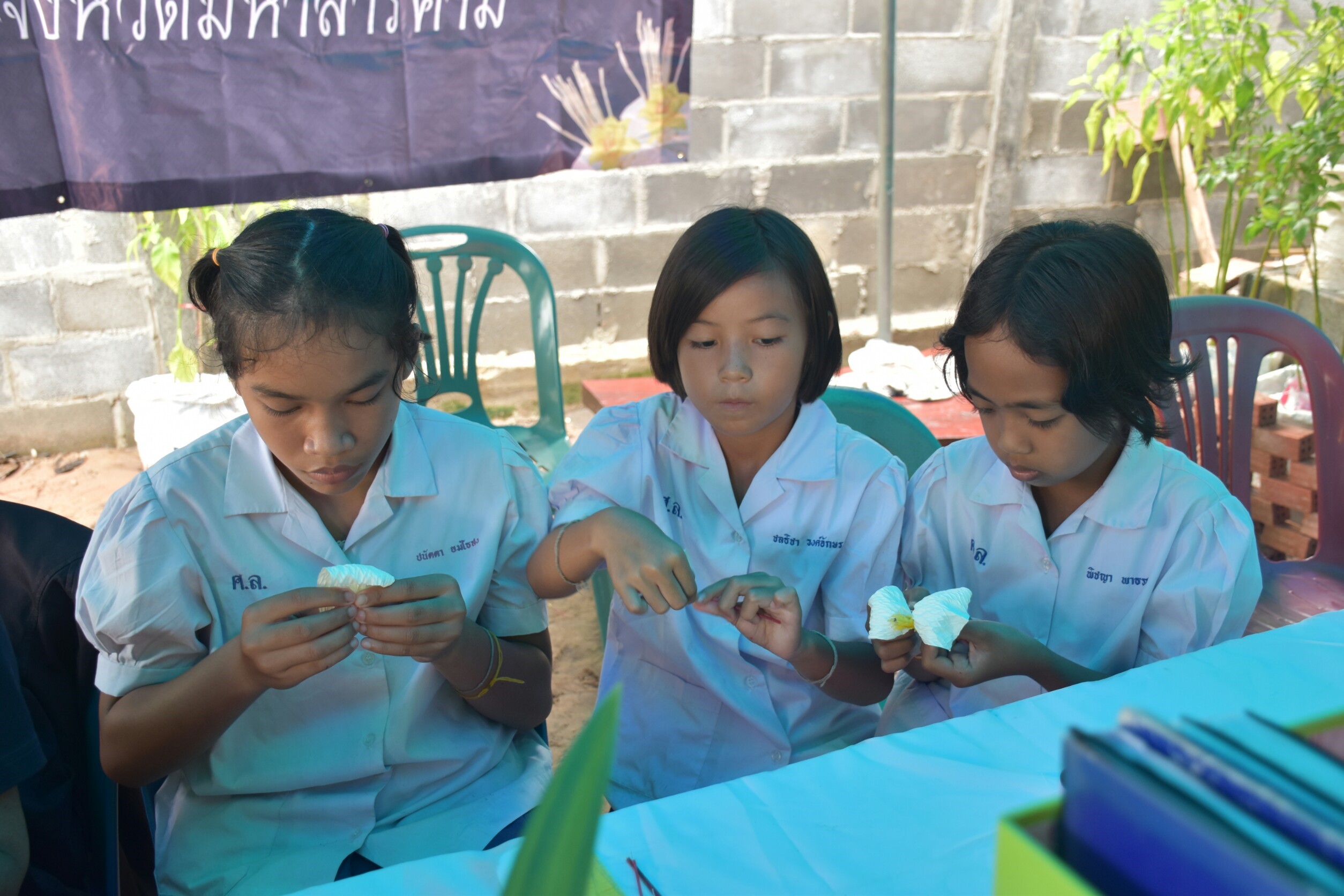 4 กรกฎาคม 2560  นางไพเราะ รอยตระกูล รองผู้ว่าราชการจังหวัดมหาสารคามเป็นประธานคณะกรรมการคัดสรรหมู่บ้านเศรษฐกิจพอเพียง “อยู่เย็น เป็นสุข” ดีเด่น ระดับจังหวัด ประจำปี 2560  รอบชิงชนะเลิศ บ้านศาลา หมู่ที่ 8  ตำบลนาภู อำเภอยางสีสุราช จังหวัดมหาสารคาม