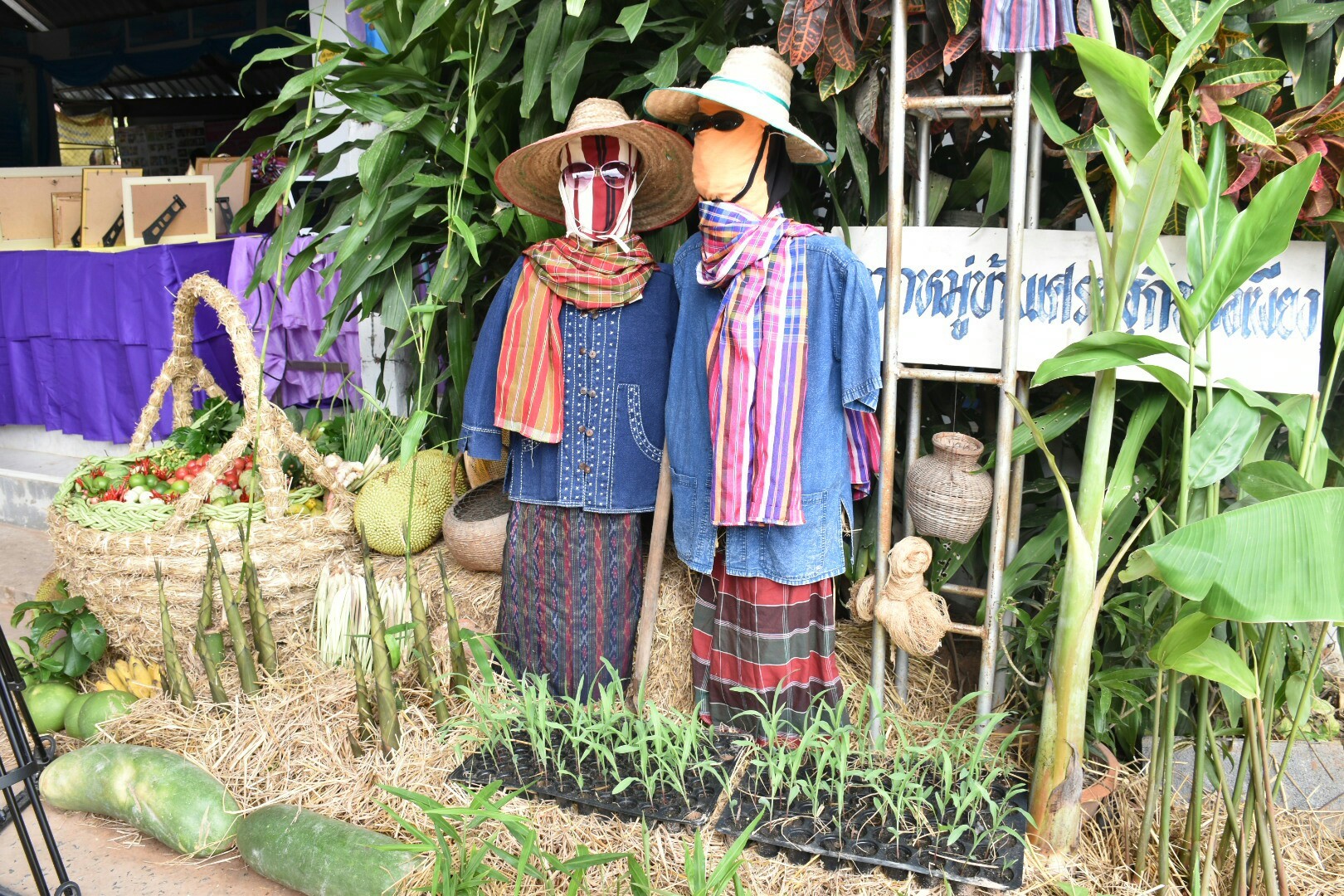 3 กรกฎาคม 2560  นางไพเราะ รอยตระกูล รองผู้ว่าราชการจังหวัดมหาสารคาม เป็นประธานคณะกรรมการคัดสรรหมู่บ้านเศรษฐกิจพอเพียง “อยู่เย็น เป็นสุข” ดีเด่น ระดับจังหวัด ประจำปี 2560