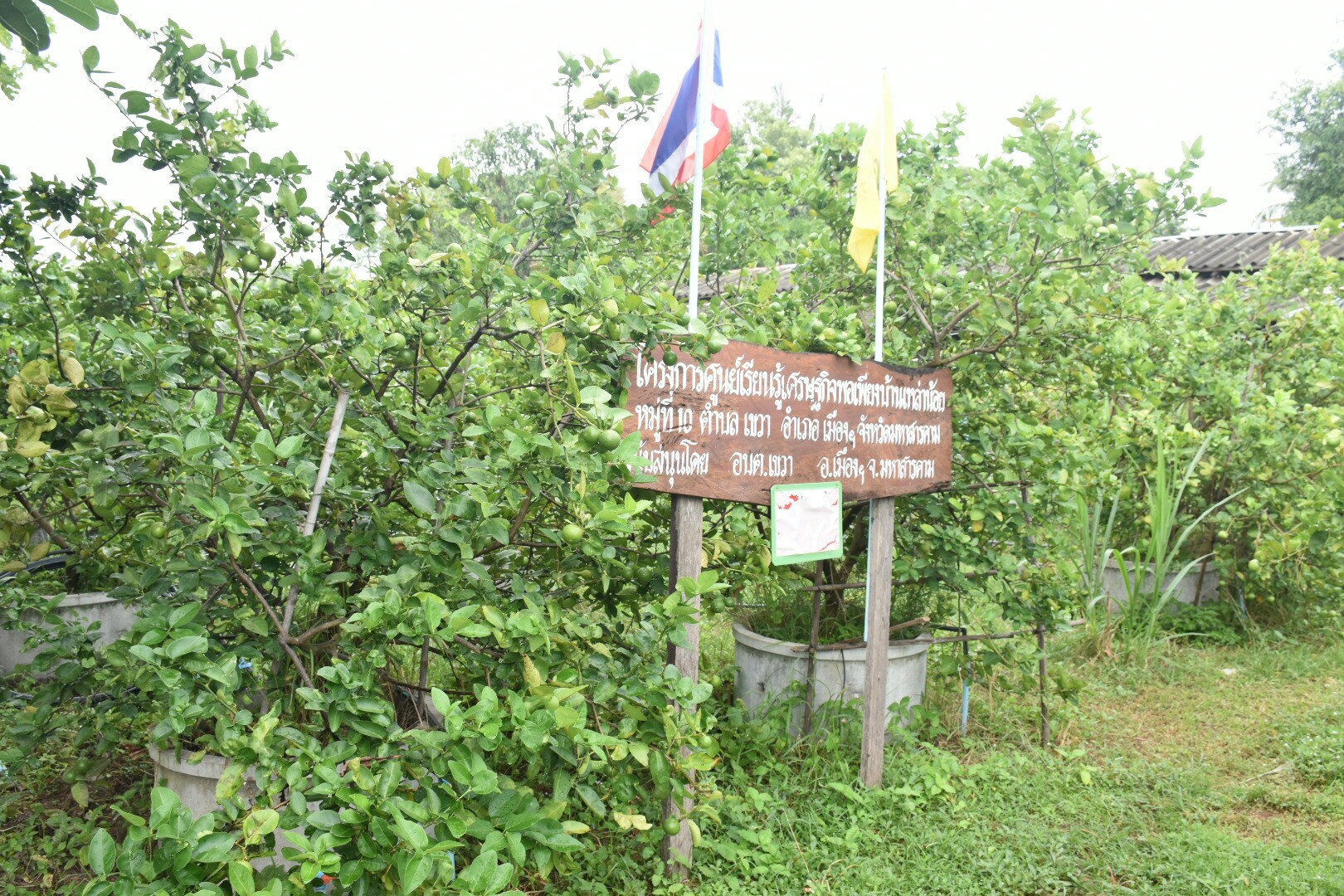 3 กรกฎาคม 2560  นางไพเราะ รอยตระกูล รองผู้ว่าราชการจังหวัดมหาสารคาม เป็นประธานคณะกรรมการคัดสรรหมู่บ้านเศรษฐกิจพอเพียง “อยู่เย็น เป็นสุข” ดีเด่น ระดับจังหวัด ประจำปี 2560