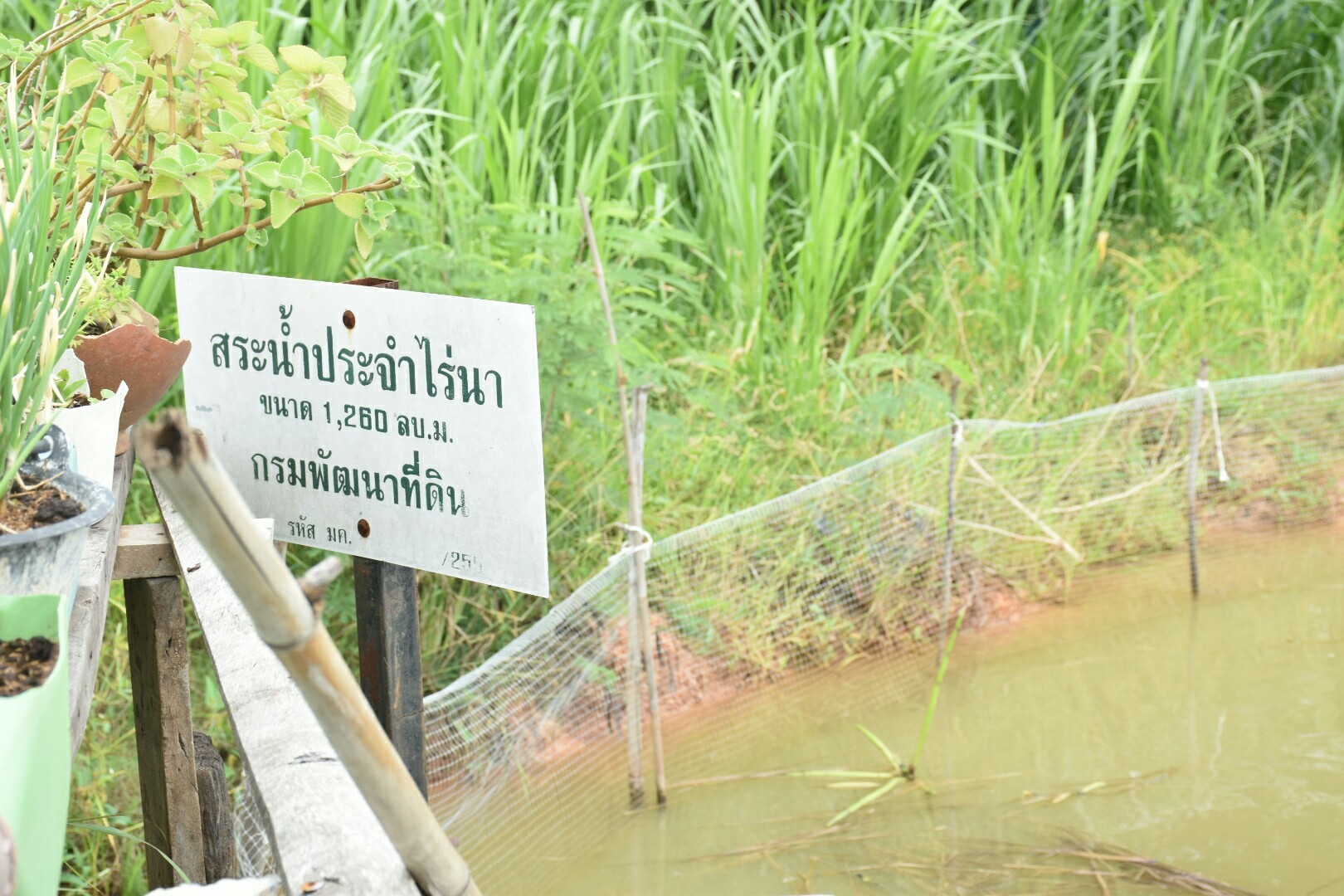 19 กรกฎาคม 2560  นางสาวศศิธร ปัญญาไว พัฒนาการจังหวัดมหาสารคาม  เป็นประธานคณะกรรมการประกวดหมู่บ้านเศรษฐกิจพอเพียงดีเด่น ปี 2560  ตามโครงการมหาสารคามน้อมนำปรัชญาเศรษฐกิจพอเพียง เพื่อพัฒนาคุณภาพในชุมชน ณ บ้านหนองหิน หมู่ที่ 15 ตำบลหัวดง  อำเภอนาดูน จังหวัดมหาสารคาม