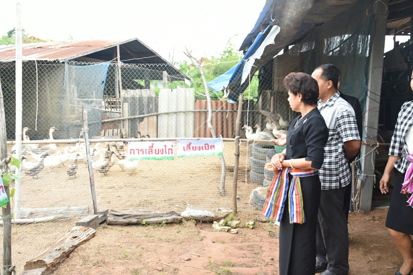 19 กรกฎาคม 2560  นางสาวศศิธร ปัญญาไว พัฒนาการจังหวัดมหาสารคาม  เป็นประธานคณะกรรมการประกวดหมู่บ้านเศรษฐกิจพอเพียงดีเด่น ปี 2560  ตามโครงการมหาสารคามน้อมนำปรัชญาเศรษฐกิจพอเพียง เพื่อพัฒนาคุณภาพในชุมชน ณ บ้านหนองหิน หมู่ที่ 15 ตำบลหัวดง  อำเภอนาดูน จังหวัดมหาสารคาม