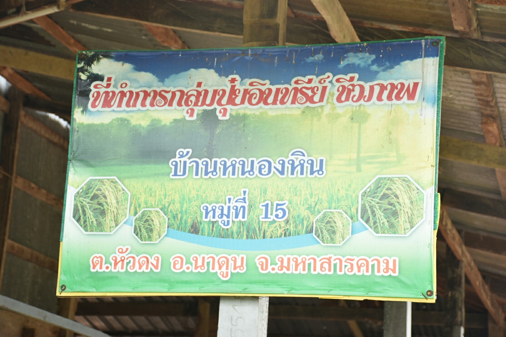 19 กรกฎาคม 2560  นางสาวศศิธร ปัญญาไว พัฒนาการจังหวัดมหาสารคาม  เป็นประธานคณะกรรมการประกวดหมู่บ้านเศรษฐกิจพอเพียงดีเด่น ปี 2560  ตามโครงการมหาสารคามน้อมนำปรัชญาเศรษฐกิจพอเพียง เพื่อพัฒนาคุณภาพในชุมชน ณ บ้านหนองหิน หมู่ที่ 15 ตำบลหัวดง  อำเภอนาดูน จังหวัดมหาสารคาม
