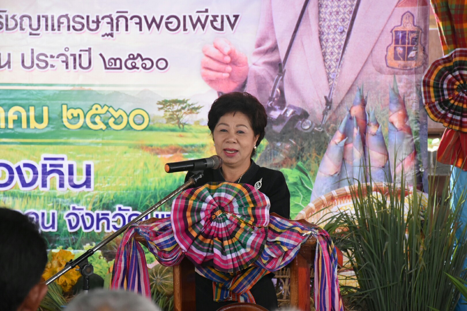 19 กรกฎาคม 2560  นางสาวศศิธร ปัญญาไว พัฒนาการจังหวัดมหาสารคาม  เป็นประธานคณะกรรมการประกวดหมู่บ้านเศรษฐกิจพอเพียงดีเด่น ปี 2560  ตามโครงการมหาสารคามน้อมนำปรัชญาเศรษฐกิจพอเพียง เพื่อพัฒนาคุณภาพในชุมชน ณ บ้านหนองหิน หมู่ที่ 15 ตำบลหัวดง  อำเภอนาดูน จังหวัดมหาสารคาม