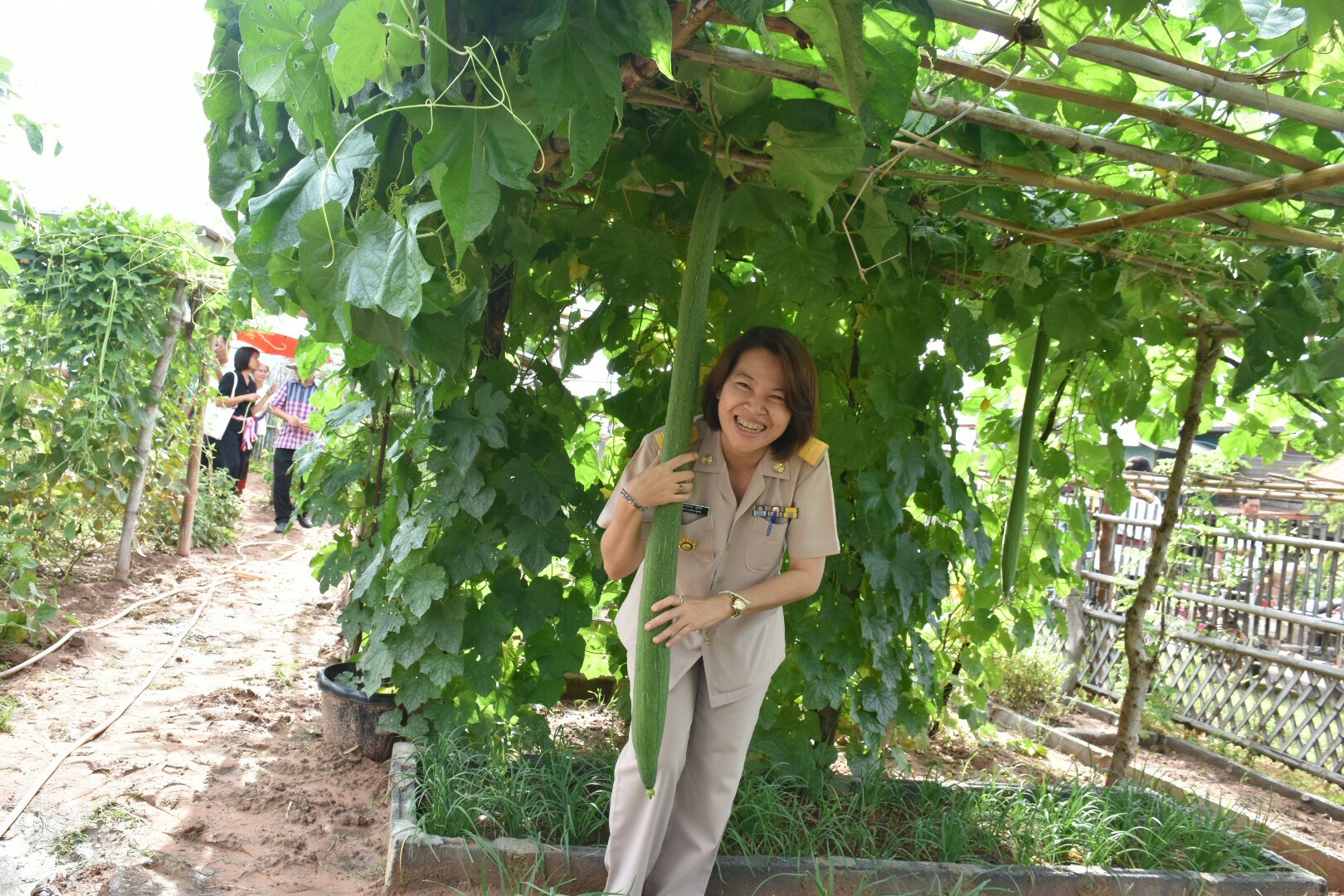 17 กรกฎาคม 2560 นางสาวศศิธร ปัญญาไว พัฒนาการจังหวัดมหาสารคาม  เป็นประธานคณะกรรมการประกวดหมู่บ้านเศรษฐกิจพอเพียงดีเด่น ปี 2560  ตามโครงการมหาสารคามน้อมนำปรัชญาเศรษฐกิจพอเพียง  เพื่อพัฒนาคุณภาพในชุมชน ณ บ้านเหล่าคา หมู่ที่ 9 ตำบลปอพาน  อำเภอนาเชือก จังหวัดมหาสารคาม  Copy