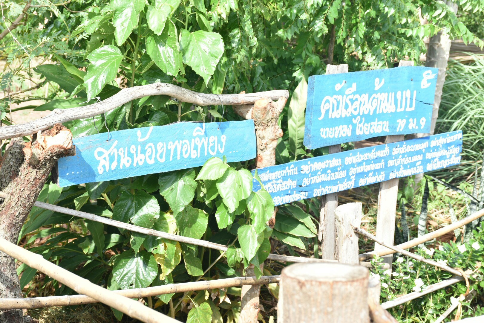 17 กรกฎาคม 2560 นางสาวศศิธร ปัญญาไว พัฒนาการจังหวัดมหาสารคาม  เป็นประธานคณะกรรมการประกวดหมู่บ้านเศรษฐกิจพอเพียงดีเด่น ปี 2560  ตามโครงการมหาสารคามน้อมนำปรัชญาเศรษฐกิจพอเพียง  เพื่อพัฒนาคุณภาพในชุมชน ณ บ้านเหล่าคา หมู่ที่ 9 ตำบลปอพาน  อำเภอนาเชือก จังหวัดมหาสารคาม  Copy