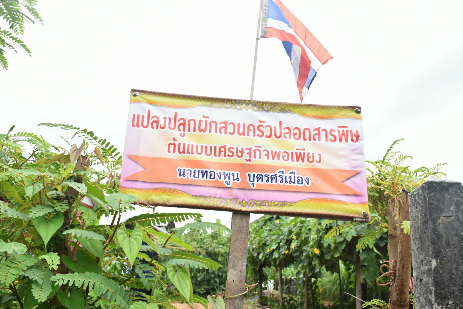 17 กรกฎาคม 2560 นางสาวศศิธร ปัญญาไว พัฒนาการจังหวัดมหาสารคาม  เป็นประธานคณะกรรมการประกวดหมู่บ้านเศรษฐกิจพอเพียงดีเด่น ปี 2560  ตามโครงการมหาสารคามน้อมนำปรัชญาเศรษฐกิจพอเพียง  เพื่อพัฒนาคุณภาพในชุมชน ณ บ้านโคกเสือเฒ่า หมู่ที่ 7  ตำบลหนองม่วง อำเภอบรบือ จังหวัดมหาสารคาม