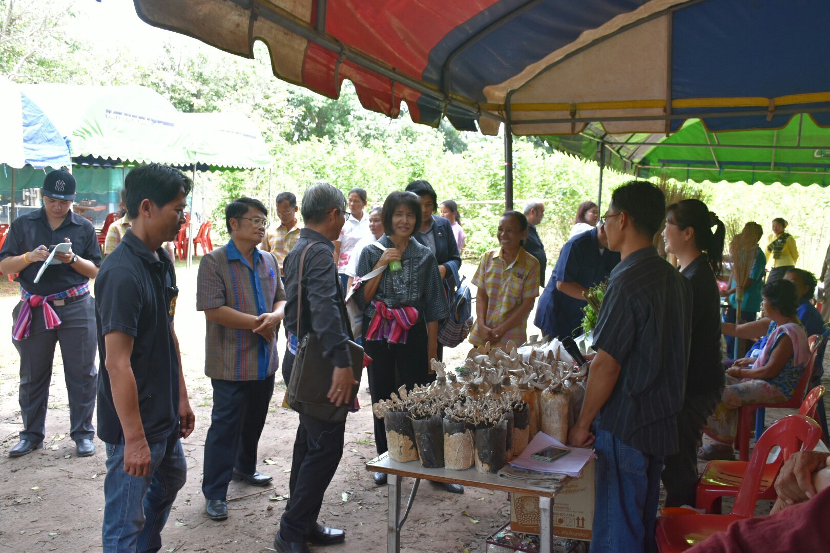 18 กรกฎาคม 2560 คณะกรรมการประกวดหมู่บ้านเศรษฐกิจพอเพียงดีเด่น ปี 2560  ตามโครงการมหาสารคามน้อมนำปรัชญาเศรษฐกิจพอเพียง  เพื่อพัฒนาคุณภาพในชุมชน ณ บ้านดอนไผ่งาม หมู่ที่ 8  ตำบลเม็กดำ อำเภอพยัคฆภูมิพิสัย จังหวัดมหาสารคาม  Copy