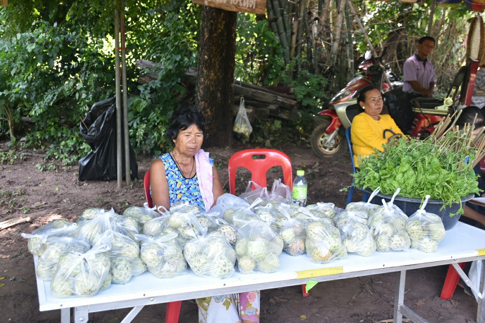18 กรกฎาคม 2560 คณะกรรมการประกวดหมู่บ้านเศรษฐกิจพอเพียงดีเด่น ปี 2560  ตามโครงการมหาสารคามน้อมนำปรัชญาเศรษฐกิจพอเพียง  เพื่อพัฒนาคุณภาพในชุมชน ณ บ้านดอนไผ่งาม หมู่ที่ 8  ตำบลเม็กดำ อำเภอพยัคฆภูมิพิสัย จังหวัดมหาสารคาม  Copy