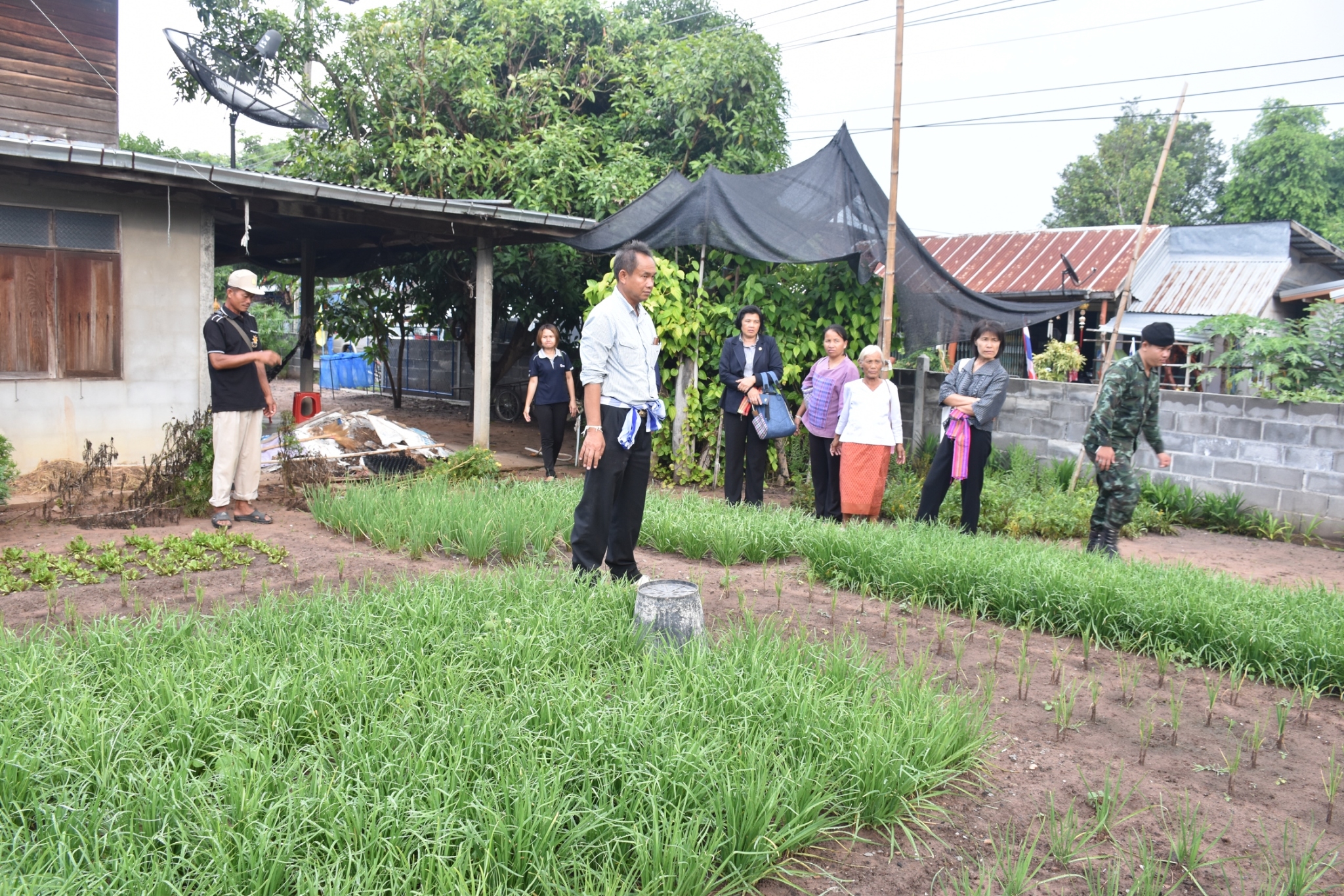 18 กรกฎาคม 2560 คณะกรรมการประกวดหมู่บ้านเศรษฐกิจพอเพียงดีเด่น ปี 2560  ตามโครงการมหาสารคามน้อมนำปรัชญาเศรษฐกิจพอเพียง  เพื่อพัฒนาคุณภาพในชุมชน ณ บ้านโนนรัง หมู่ที่ 2 ตำบลบ้านกู่  อำเภอยางสีสุราช จังหวัดมหาสารคาม