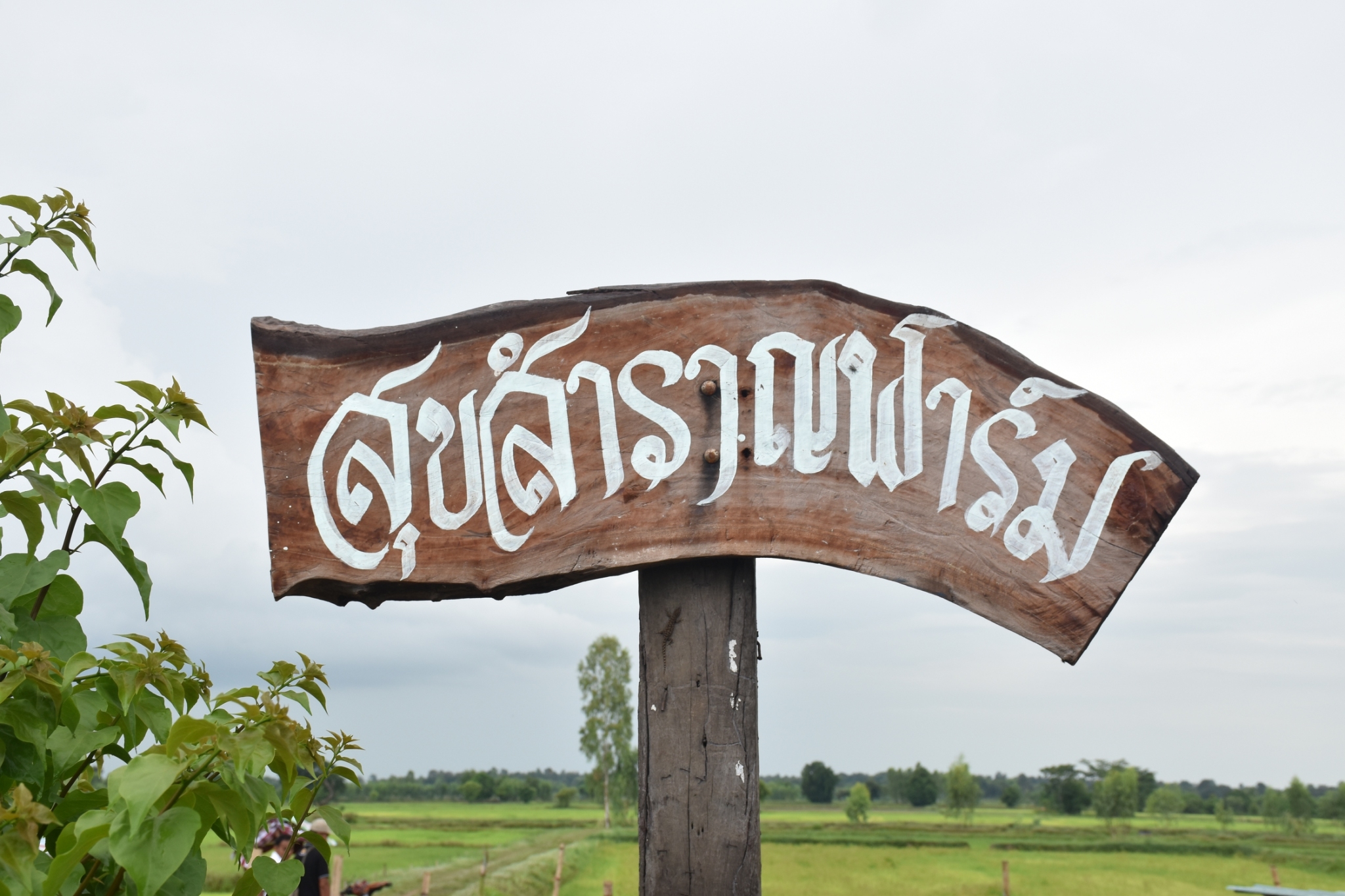 18 กรกฎาคม 2560 คณะกรรมการประกวดหมู่บ้านเศรษฐกิจพอเพียงดีเด่น ปี 2560  ตามโครงการมหาสารคามน้อมนำปรัชญาเศรษฐกิจพอเพียง  เพื่อพัฒนาคุณภาพในชุมชน ณ บ้านโนนรัง หมู่ที่ 2 ตำบลบ้านกู่  อำเภอยางสีสุราช จังหวัดมหาสารคาม