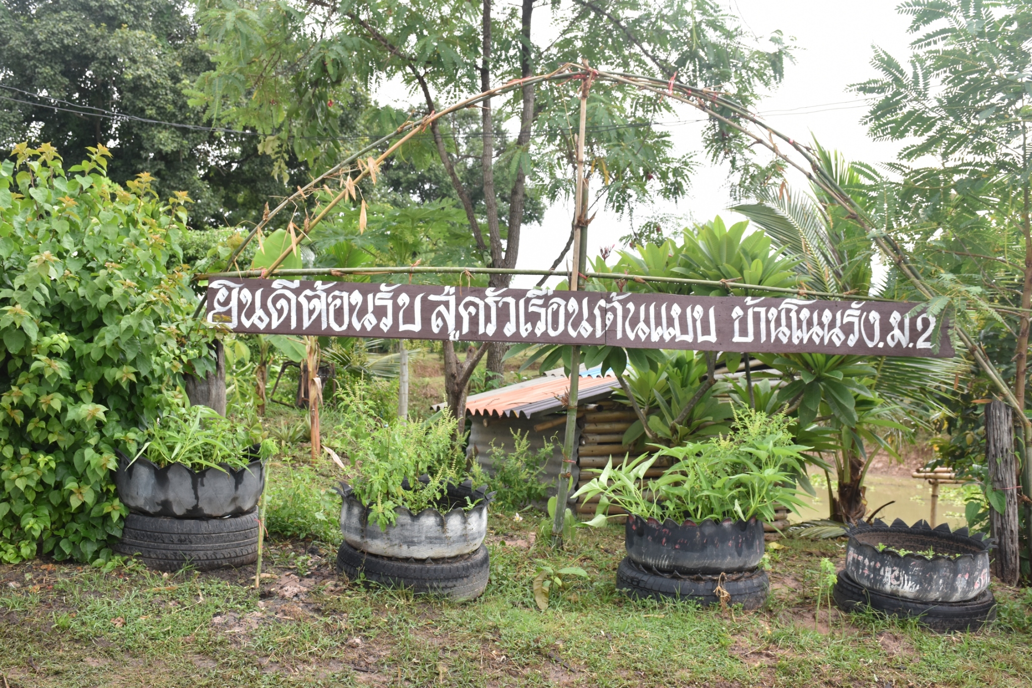 18 กรกฎาคม 2560 คณะกรรมการประกวดหมู่บ้านเศรษฐกิจพอเพียงดีเด่น ปี 2560  ตามโครงการมหาสารคามน้อมนำปรัชญาเศรษฐกิจพอเพียง  เพื่อพัฒนาคุณภาพในชุมชน ณ บ้านโนนรัง หมู่ที่ 2 ตำบลบ้านกู่  อำเภอยางสีสุราช จังหวัดมหาสารคาม
