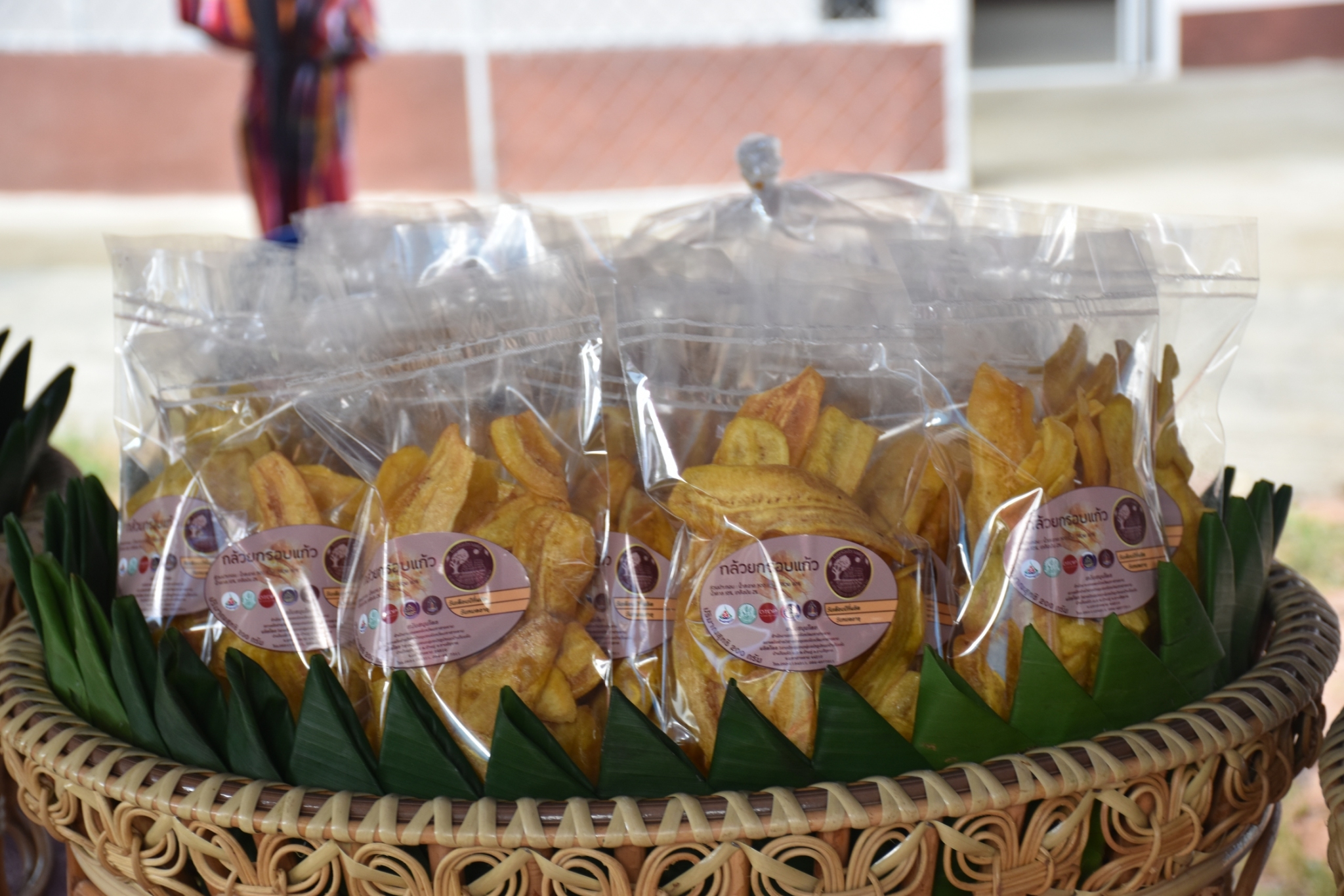 18 กรกฎาคม 2560 คณะกรรมการประกวดหมู่บ้านเศรษฐกิจพอเพียงดีเด่น ปี 2560  ตามโครงการมหาสารคามน้อมนำปรัชญาเศรษฐกิจพอเพียง  เพื่อพัฒนาคุณภาพในชุมชน ณ บ้านโนนรัง หมู่ที่ 2 ตำบลบ้านกู่  อำเภอยางสีสุราช จังหวัดมหาสารคาม