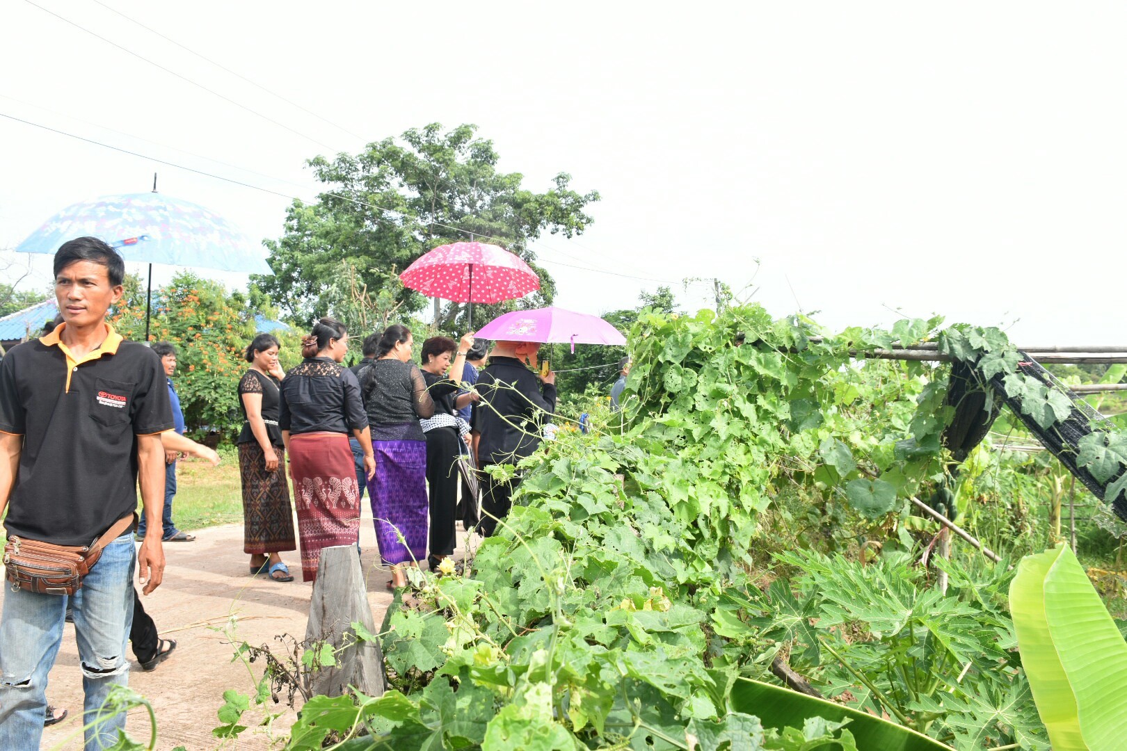 19 กรกฎาคม 2560 นางสาวศศิธร ปัญญาไว พัฒนาการจังหวัดมหาสารคาม  เป็นประธานคณะกรรมการประกวดหมู่บ้านเศรษฐกิจพอเพียงดีเด่น ปี 2560  ตามโครงการมหาสารคามน้อมนำปรัชญาเศรษฐกิจพอเพียง  เพื่อพัฒนาคุณภาพในชุมชน บ้านหนองโง้ง หมู่ที่ 10 ตำบลบ้านหวาย  อำเภอวาปีปทุม จังหวัดมหาสารคาม  Copy