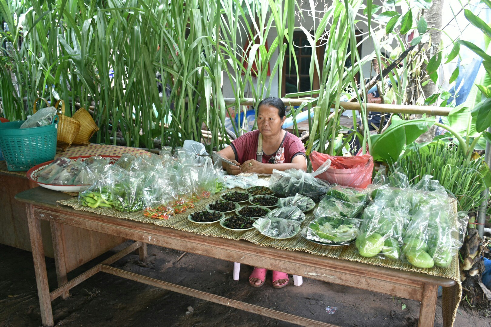 19 กรกฎาคม 2560 นางสาวศศิธร ปัญญาไว พัฒนาการจังหวัดมหาสารคาม  เป็นประธานคณะกรรมการประกวดหมู่บ้านเศรษฐกิจพอเพียงดีเด่น ปี 2560  ตามโครงการมหาสารคามน้อมนำปรัชญาเศรษฐกิจพอเพียง  เพื่อพัฒนาคุณภาพในชุมชน บ้านหนองโง้ง หมู่ที่ 10 ตำบลบ้านหวาย  อำเภอวาปีปทุม จังหวัดมหาสารคาม  Copy