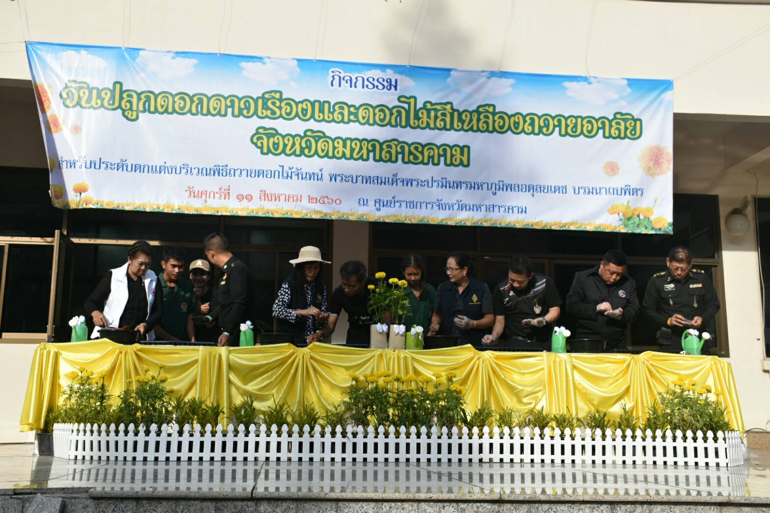 11 สิงหาคม 2560  นายเสนห์ นนทะโชติ ผู้ว่าราชการจังหวัดมหาสารคาม  เป็นประธานกิจกรรมวันปลูกดอกดาวเรืองและดอกไม้สีเหลือง ถวายอาลัยสำหรับประดับตกแต่งบริเวณพิธีถวายดอกไม้จันทน์ พระบาทสมเด็จพระปรมินทร มหาภูมิพลอดุยเดช บรมนาถบพิตร