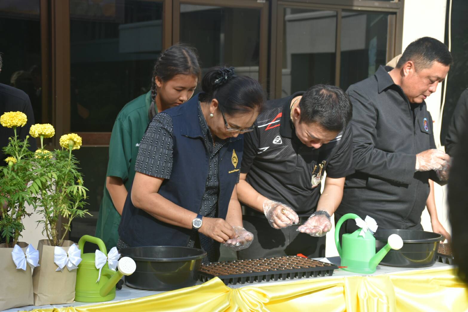 11 สิงหาคม 2560  นายเสนห์ นนทะโชติ ผู้ว่าราชการจังหวัดมหาสารคาม  เป็นประธานกิจกรรมวันปลูกดอกดาวเรืองและดอกไม้สีเหลือง ถวายอาลัยสำหรับประดับตกแต่งบริเวณพิธีถวายดอกไม้จันทน์ พระบาทสมเด็จพระปรมินทร มหาภูมิพลอดุยเดช บรมนาถบพิตร