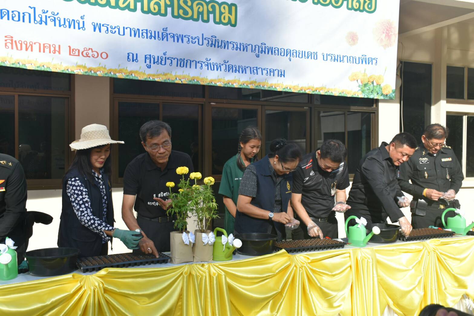 11 สิงหาคม 2560  นายเสนห์ นนทะโชติ ผู้ว่าราชการจังหวัดมหาสารคาม  เป็นประธานกิจกรรมวันปลูกดอกดาวเรืองและดอกไม้สีเหลือง ถวายอาลัยสำหรับประดับตกแต่งบริเวณพิธีถวายดอกไม้จันทน์ พระบาทสมเด็จพระปรมินทร มหาภูมิพลอดุยเดช บรมนาถบพิตร