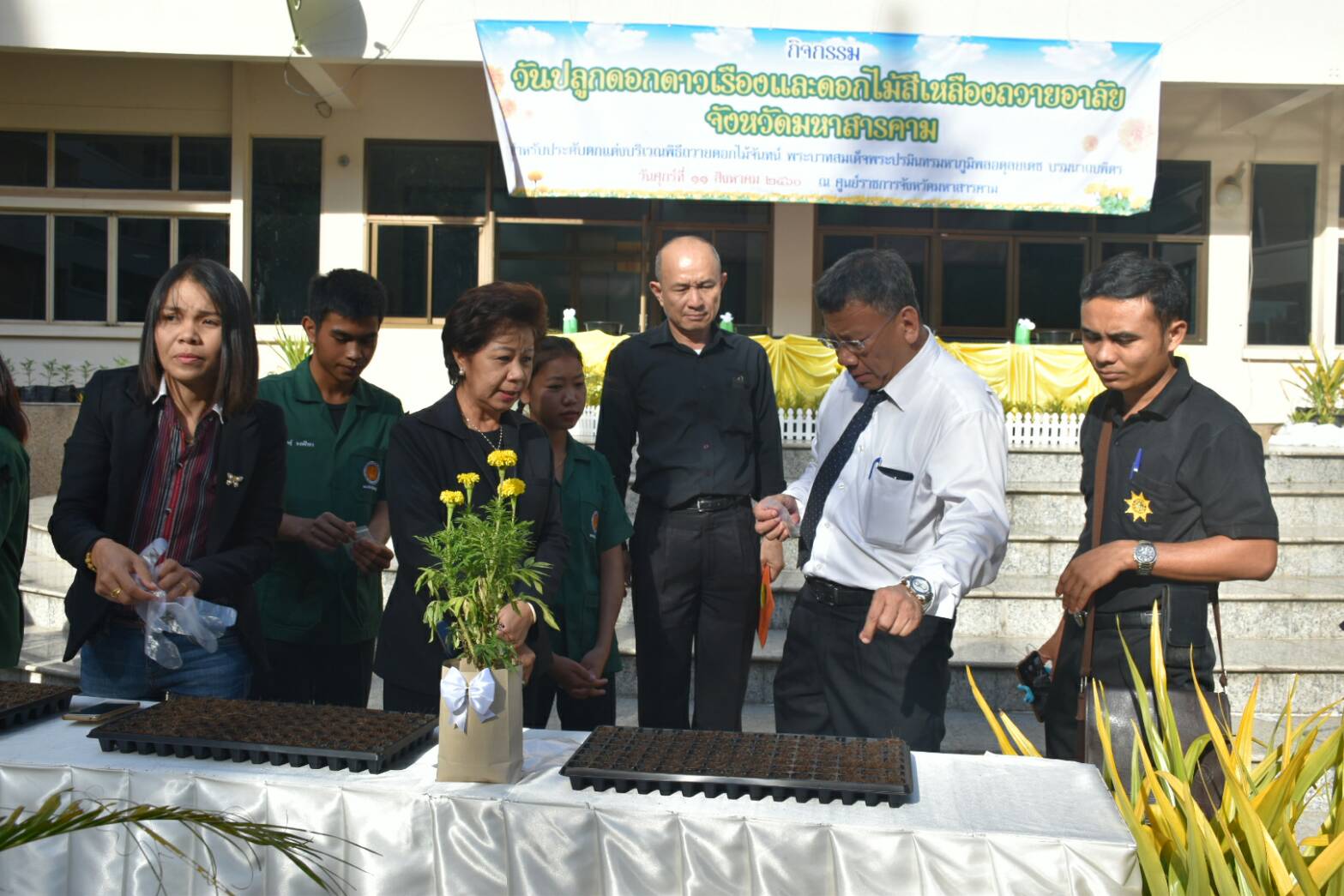 11 สิงหาคม 2560  นายเสนห์ นนทะโชติ ผู้ว่าราชการจังหวัดมหาสารคาม  เป็นประธานกิจกรรมวันปลูกดอกดาวเรืองและดอกไม้สีเหลือง ถวายอาลัยสำหรับประดับตกแต่งบริเวณพิธีถวายดอกไม้จันทน์ พระบาทสมเด็จพระปรมินทร มหาภูมิพลอดุยเดช บรมนาถบพิตร