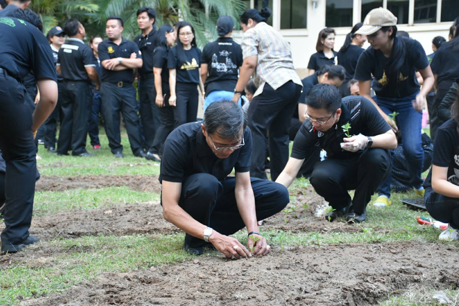 11 สิงหาคม 2560  นายเสนห์ นนทะโชติ ผู้ว่าราชการจังหวัดมหาสารคาม  เป็นประธานกิจกรรมวันปลูกดอกดาวเรืองและดอกไม้สีเหลือง ถวายอาลัยสำหรับประดับตกแต่งบริเวณพิธีถวายดอกไม้จันทน์ พระบาทสมเด็จพระปรมินทร มหาภูมิพลอดุยเดช บรมนาถบพิตร