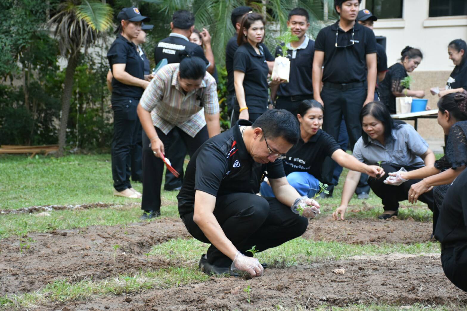 11 สิงหาคม 2560  นายเสนห์ นนทะโชติ ผู้ว่าราชการจังหวัดมหาสารคาม  เป็นประธานกิจกรรมวันปลูกดอกดาวเรืองและดอกไม้สีเหลือง ถวายอาลัยสำหรับประดับตกแต่งบริเวณพิธีถวายดอกไม้จันทน์ พระบาทสมเด็จพระปรมินทร มหาภูมิพลอดุยเดช บรมนาถบพิตร