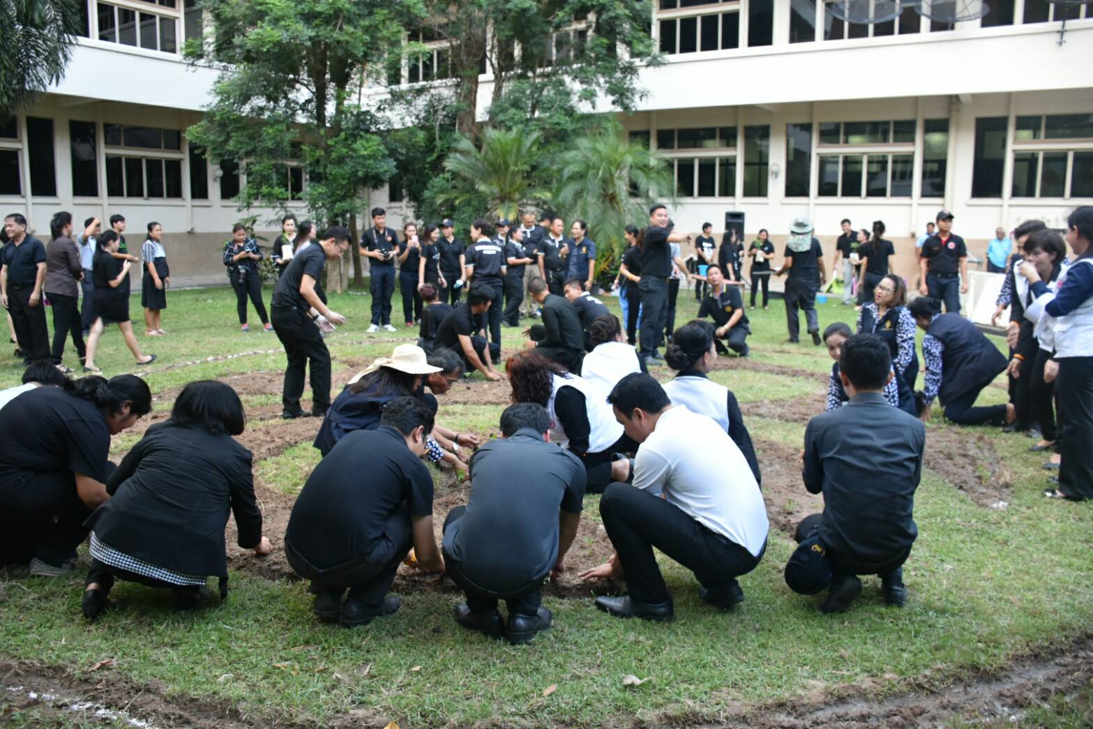 11 สิงหาคม 2560  นายเสนห์ นนทะโชติ ผู้ว่าราชการจังหวัดมหาสารคาม  เป็นประธานกิจกรรมวันปลูกดอกดาวเรืองและดอกไม้สีเหลือง ถวายอาลัยสำหรับประดับตกแต่งบริเวณพิธีถวายดอกไม้จันทน์ พระบาทสมเด็จพระปรมินทร มหาภูมิพลอดุยเดช บรมนาถบพิตร