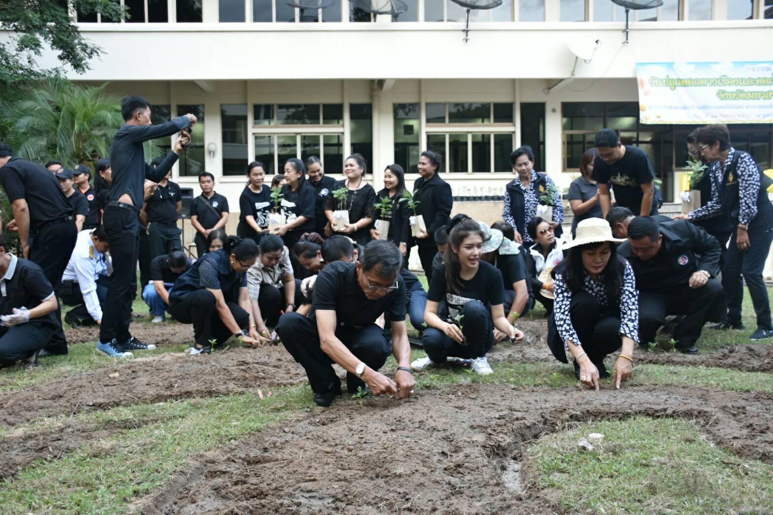 11 สิงหาคม 2560  นายเสนห์ นนทะโชติ ผู้ว่าราชการจังหวัดมหาสารคาม  เป็นประธานกิจกรรมวันปลูกดอกดาวเรืองและดอกไม้สีเหลือง ถวายอาลัยสำหรับประดับตกแต่งบริเวณพิธีถวายดอกไม้จันทน์ พระบาทสมเด็จพระปรมินทร มหาภูมิพลอดุยเดช บรมนาถบพิตร