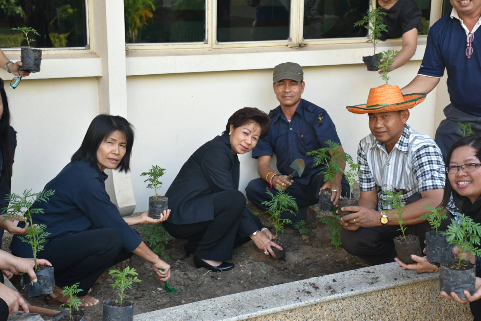 11 สิงหาคม 2560  นายเสนห์ นนทะโชติ ผู้ว่าราชการจังหวัดมหาสารคาม  เป็นประธานกิจกรรมวันปลูกดอกดาวเรืองและดอกไม้สีเหลือง ถวายอาลัยสำหรับประดับตกแต่งบริเวณพิธีถวายดอกไม้จันทน์ พระบาทสมเด็จพระปรมินทร มหาภูมิพลอดุยเดช บรมนาถบพิตร