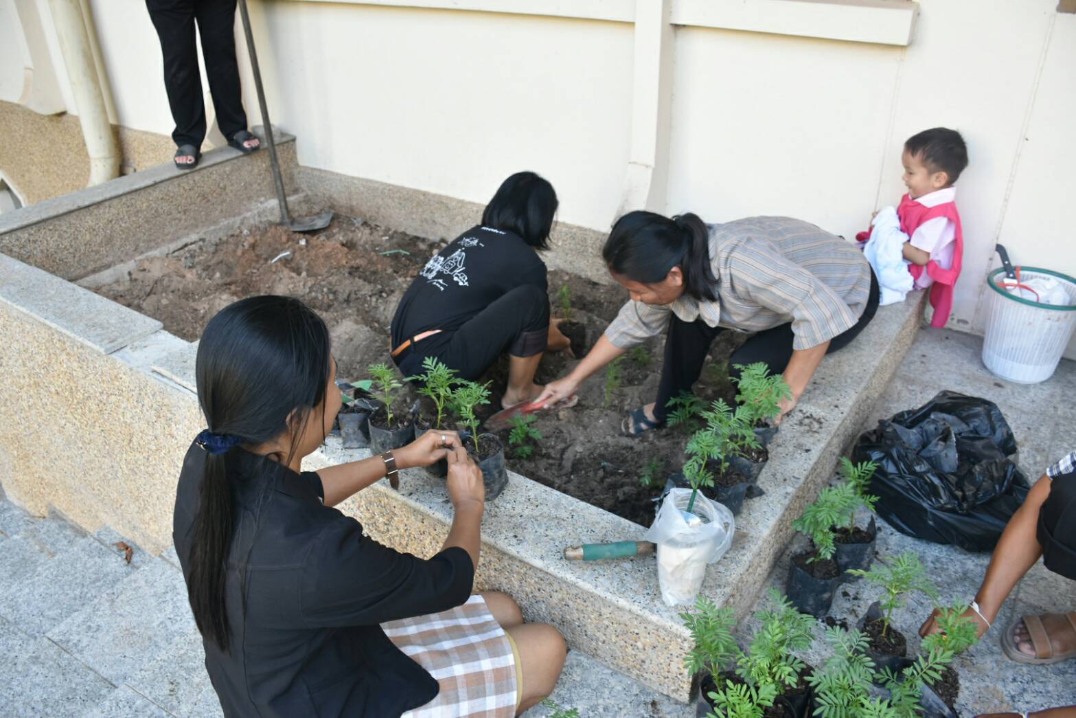 11 สิงหาคม 2560  นายเสนห์ นนทะโชติ ผู้ว่าราชการจังหวัดมหาสารคาม  เป็นประธานกิจกรรมวันปลูกดอกดาวเรืองและดอกไม้สีเหลือง ถวายอาลัยสำหรับประดับตกแต่งบริเวณพิธีถวายดอกไม้จันทน์ พระบาทสมเด็จพระปรมินทร มหาภูมิพลอดุยเดช บรมนาถบพิตร