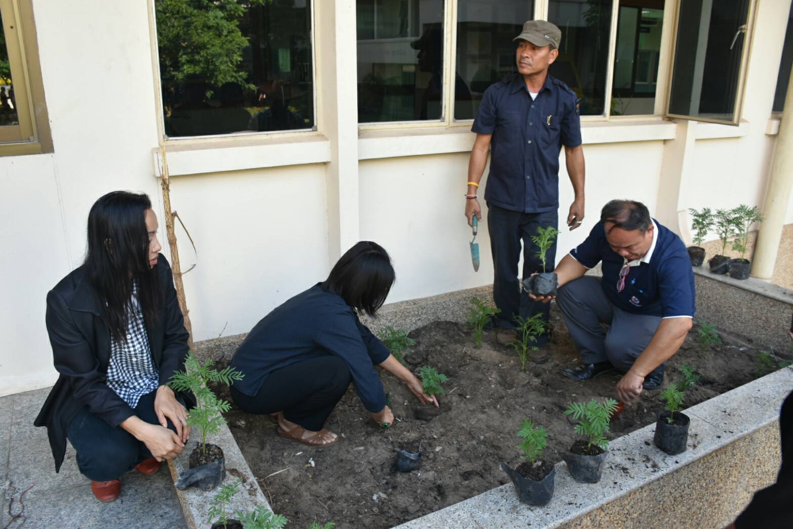11 สิงหาคม 2560  นายเสนห์ นนทะโชติ ผู้ว่าราชการจังหวัดมหาสารคาม  เป็นประธานกิจกรรมวันปลูกดอกดาวเรืองและดอกไม้สีเหลือง ถวายอาลัยสำหรับประดับตกแต่งบริเวณพิธีถวายดอกไม้จันทน์ พระบาทสมเด็จพระปรมินทร มหาภูมิพลอดุยเดช บรมนาถบพิตร