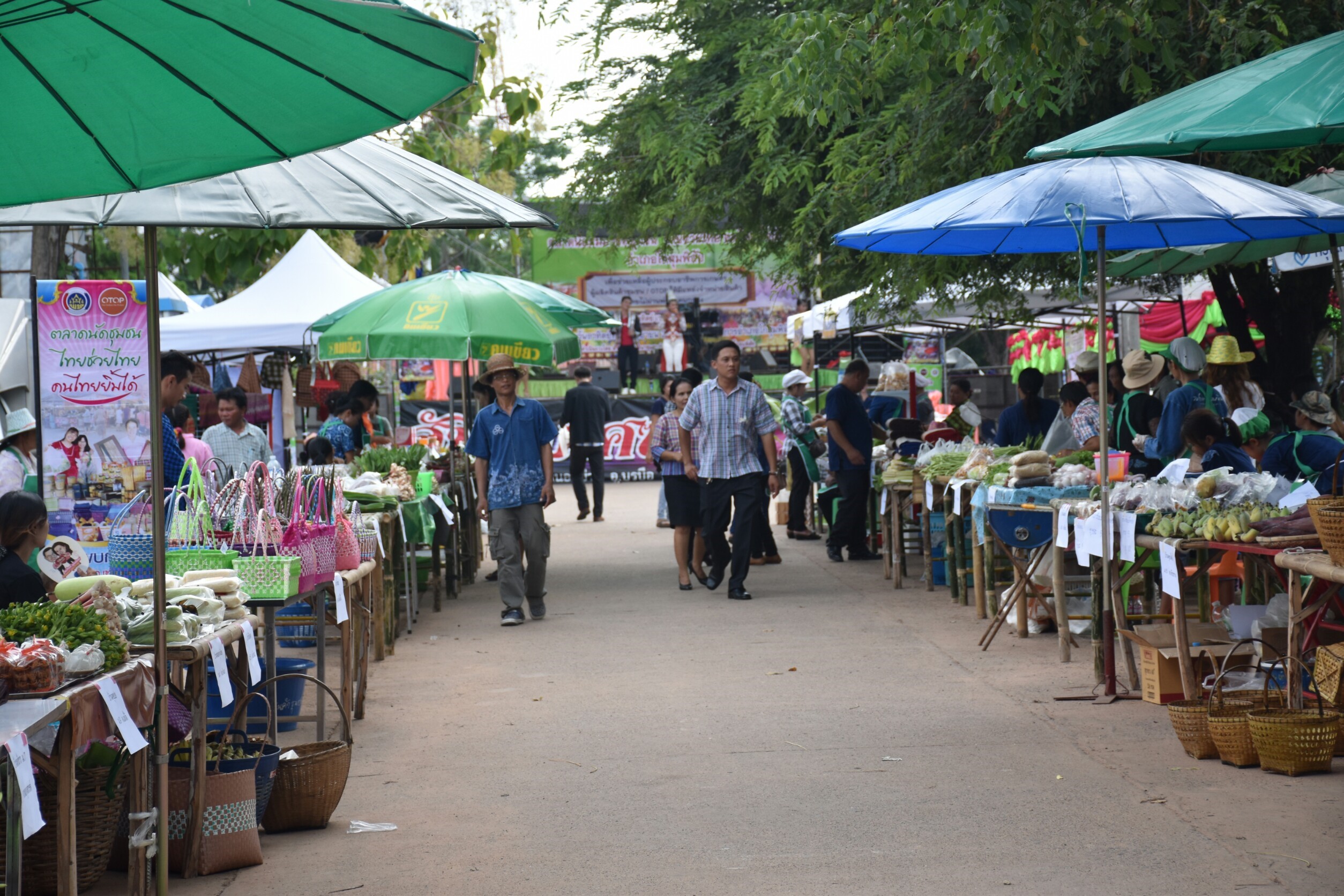 10 กันยายน 2560  นางสาวศศิธร ปัญญาไว พัฒนาการจังหวัดมหาสารคาม เป็นประธานเปิดงานตลาดนัดสัมมาชีพชุมชน ไทยช่วยไทย คนไทยยิ้มได้ อำเภอโกสุมพิสัย