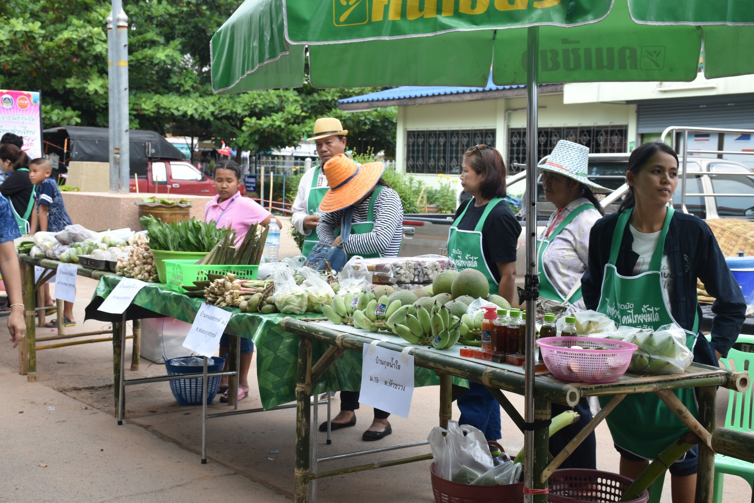10 กันยายน 2560  นางสาวศศิธร ปัญญาไว พัฒนาการจังหวัดมหาสารคาม เป็นประธานเปิดงานตลาดนัดสัมมาชีพชุมชน ไทยช่วยไทย คนไทยยิ้มได้ อำเภอโกสุมพิสัย