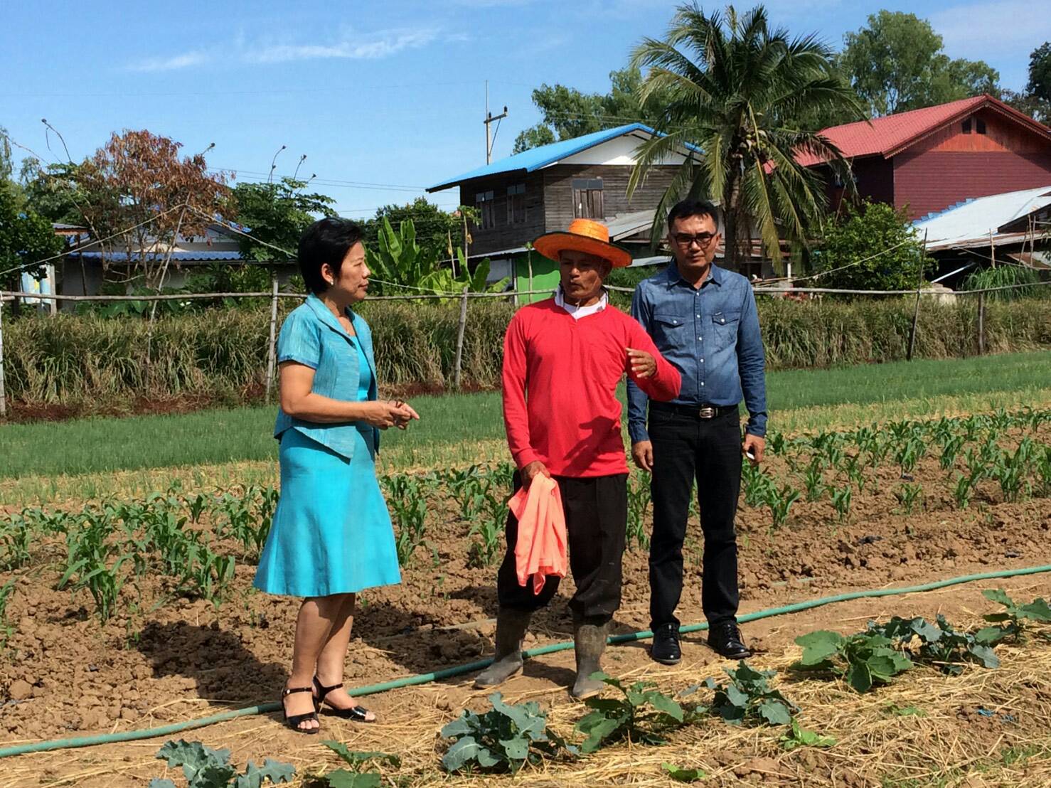 23 พฤศจิกายน 2560 สำนักงานพัฒนาชุมชนอำเภอโกสุมพิสัย ดำเนินโครงการส่งเสริมความเข้มแข็งให้ชุมชนและพัฒนาเศรษฐกิจฐานราก กิจกรรมรักษามาตรฐานหมู่บ้านเศรษฐกิจพอเพียงต้นแบบ