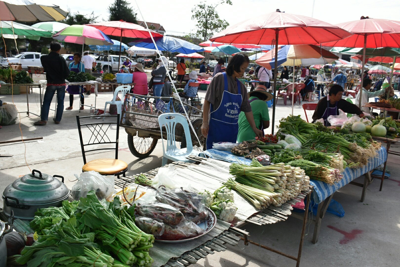 5 ธันวาคม 2560 กิจกรรม Kick Off ตลาดประชารัฐคนไทยยิ้มได้ จังหวัดมหาสารคาม ณ บริเวณตลาดประชารัฐคนไทยยิ้มได้ หน้าที่ว่าการอำเภอบรบือ จังหวัดมหาสารคาม