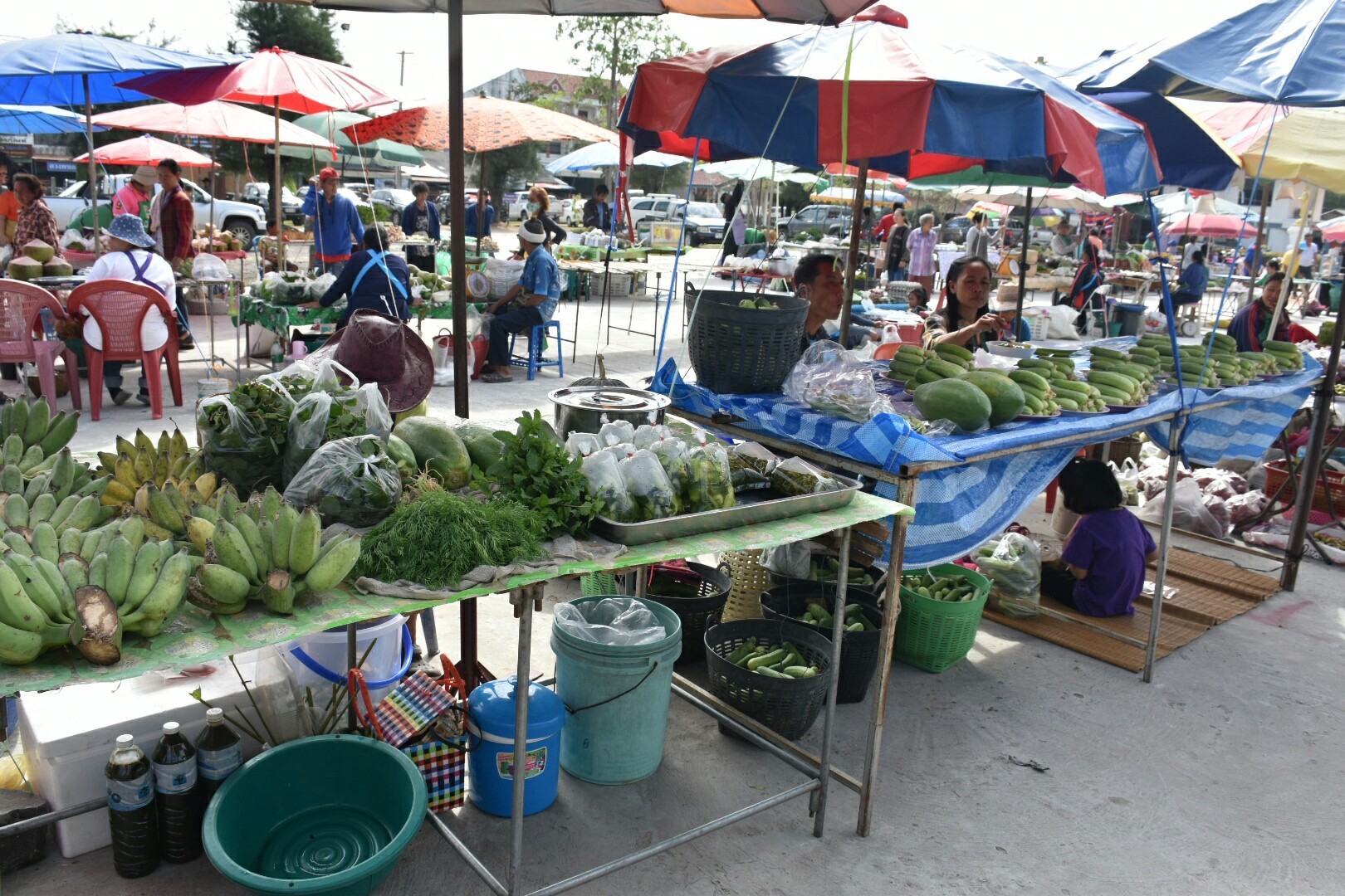 5 ธันวาคม 2560 กิจกรรม Kick Off ตลาดประชารัฐคนไทยยิ้มได้ จังหวัดมหาสารคาม ณ บริเวณตลาดประชารัฐคนไทยยิ้มได้ หน้าที่ว่าการอำเภอบรบือ จังหวัดมหาสารคาม