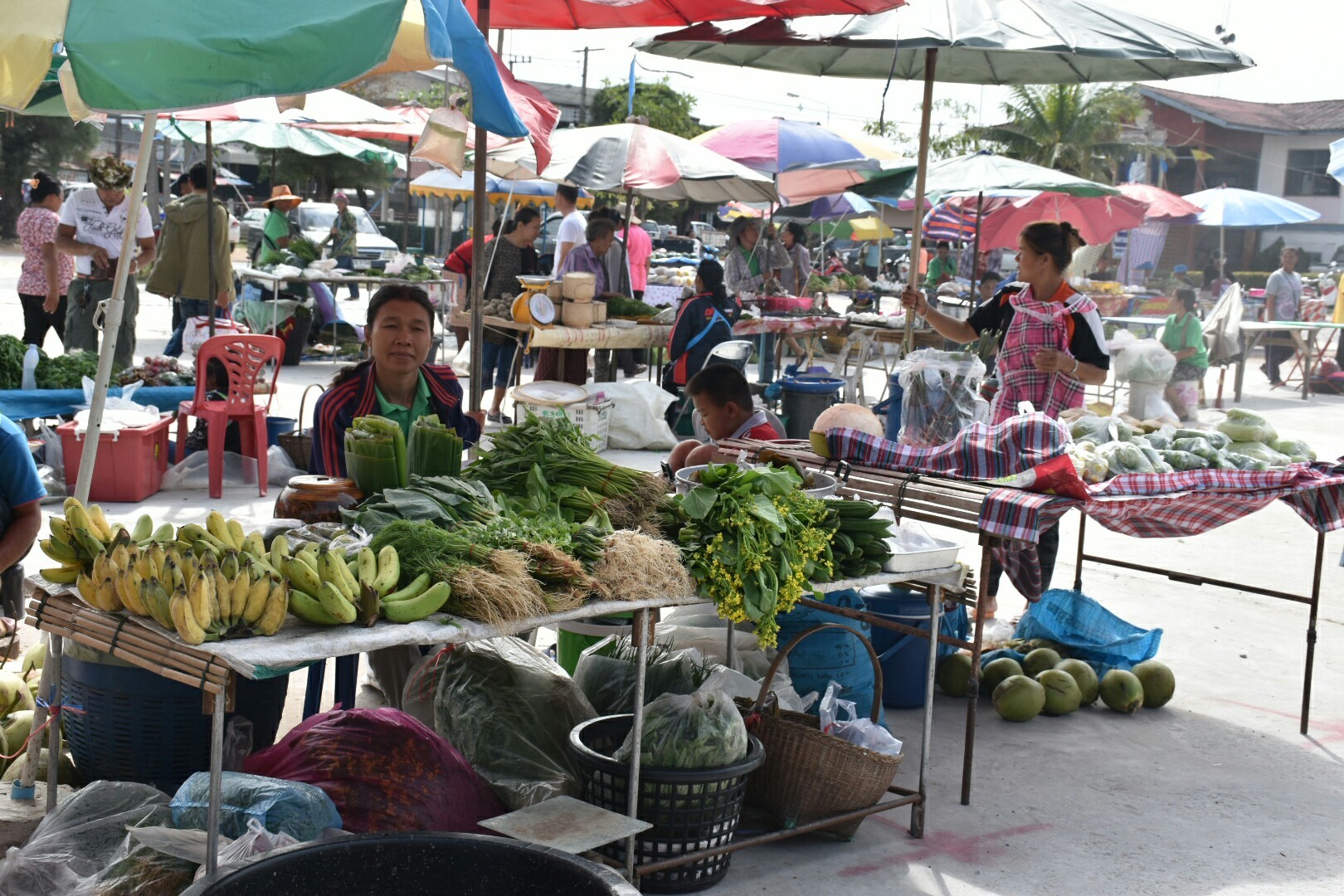 5 ธันวาคม 2560 กิจกรรม Kick Off ตลาดประชารัฐคนไทยยิ้มได้ จังหวัดมหาสารคาม ณ บริเวณตลาดประชารัฐคนไทยยิ้มได้ หน้าที่ว่าการอำเภอบรบือ จังหวัดมหาสารคาม