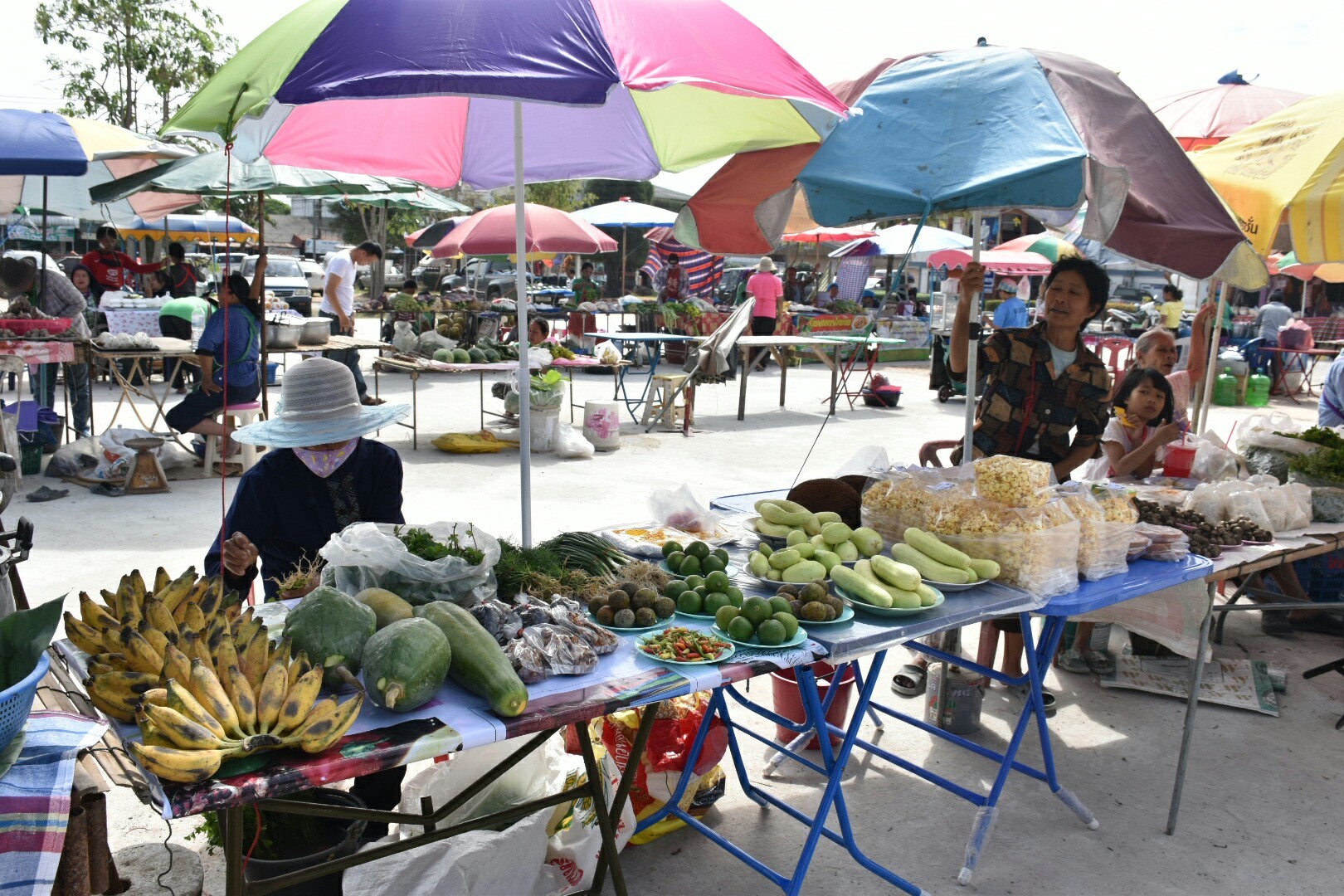 5 ธันวาคม 2560 กิจกรรม Kick Off ตลาดประชารัฐคนไทยยิ้มได้ จังหวัดมหาสารคาม ณ บริเวณตลาดประชารัฐคนไทยยิ้มได้ หน้าที่ว่าการอำเภอบรบือ จังหวัดมหาสารคาม