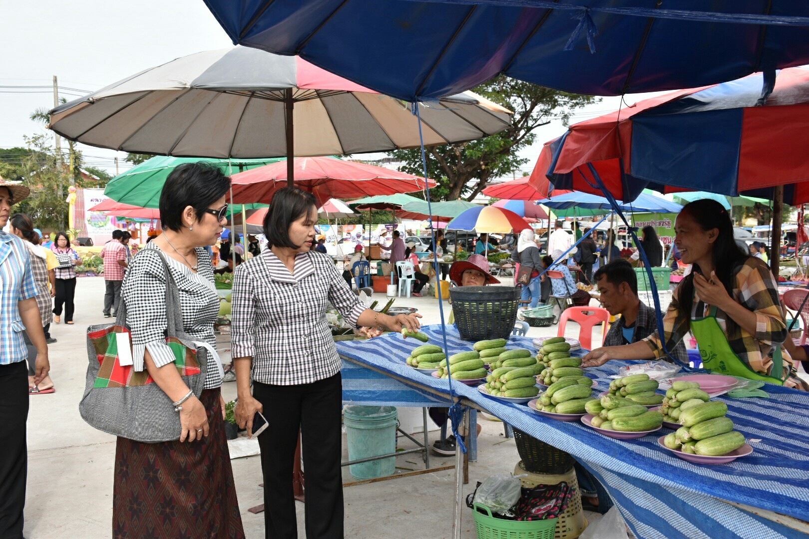 5 ธันวาคม 2560 กิจกรรม Kick Off ตลาดประชารัฐคนไทยยิ้มได้ จังหวัดมหาสารคาม ณ บริเวณตลาดประชารัฐคนไทยยิ้มได้ หน้าที่ว่าการอำเภอบรบือ จังหวัดมหาสารคาม