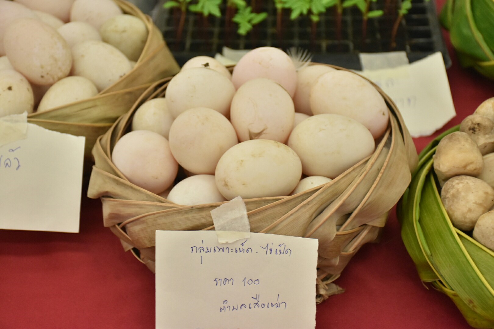 25 ธันวาคม 2560 “โครงการเพิ่มประสิทธิภาพด้านการบริหารจัดการกลุ่มอาชีพแก่คณะกรรมการเครือข่ายอาชีพสมาชิกกองทุนพัฒนาบทบาทสตรี”