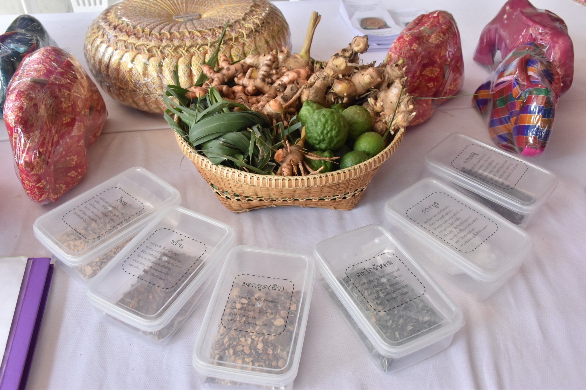 14 ธันวาคม 2560 สำนักงานพัฒนาชุมชนจังหวัดมหาสารคาม นำสิ้นค้าชุมชน สินค้า OTOP มาร่วมจำหน่าย ณ Outlet มหาวิทยาลัยมหาสารคาม
