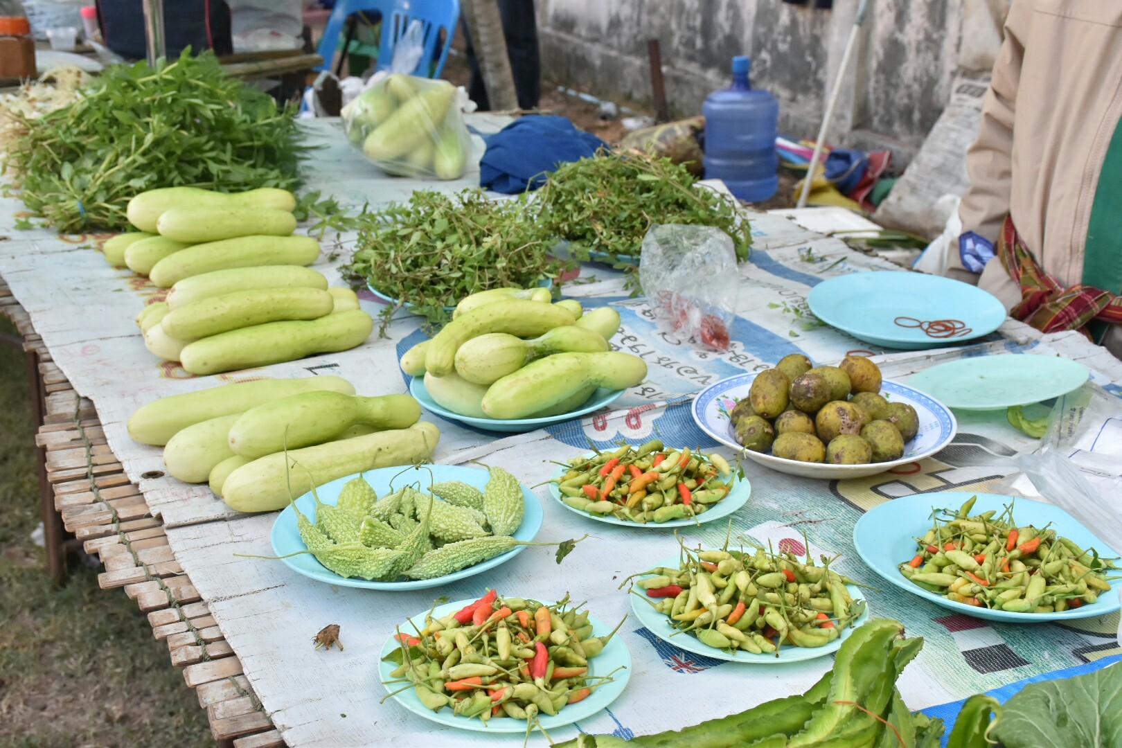 19 ธันวาคม 2560 งานแถลงข่าว “ประเพณีบุญเบิกฟ้าและงานกาชาดจังหวัดมหาสารคาม ปี 2561” พร้อมร่วมสมทบของรางวัลร้านมัจฉากาชาด ปี 2561