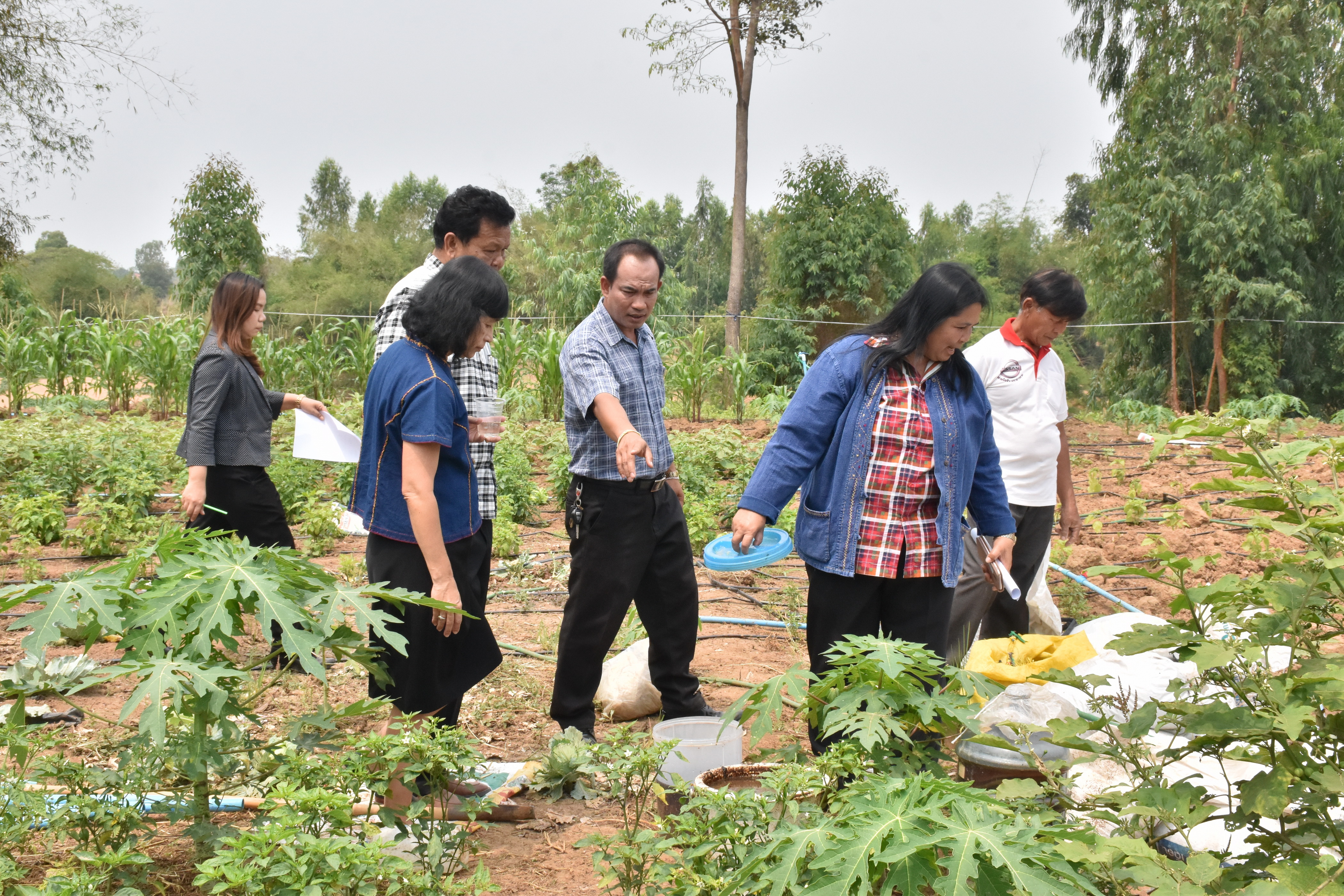 13 มีนาคม 2561 พัฒนาการจังหวัดมหาสารคาม เยี่ยมชมการดำเนินงาน ศูนย์เรียนรู้ชุมชนบ้านหินปูน หมู่ที่ 17 ตำบลเขวาใหญ่ อำเภอกันทรวิชัย จังหวัดมหาสารคาม