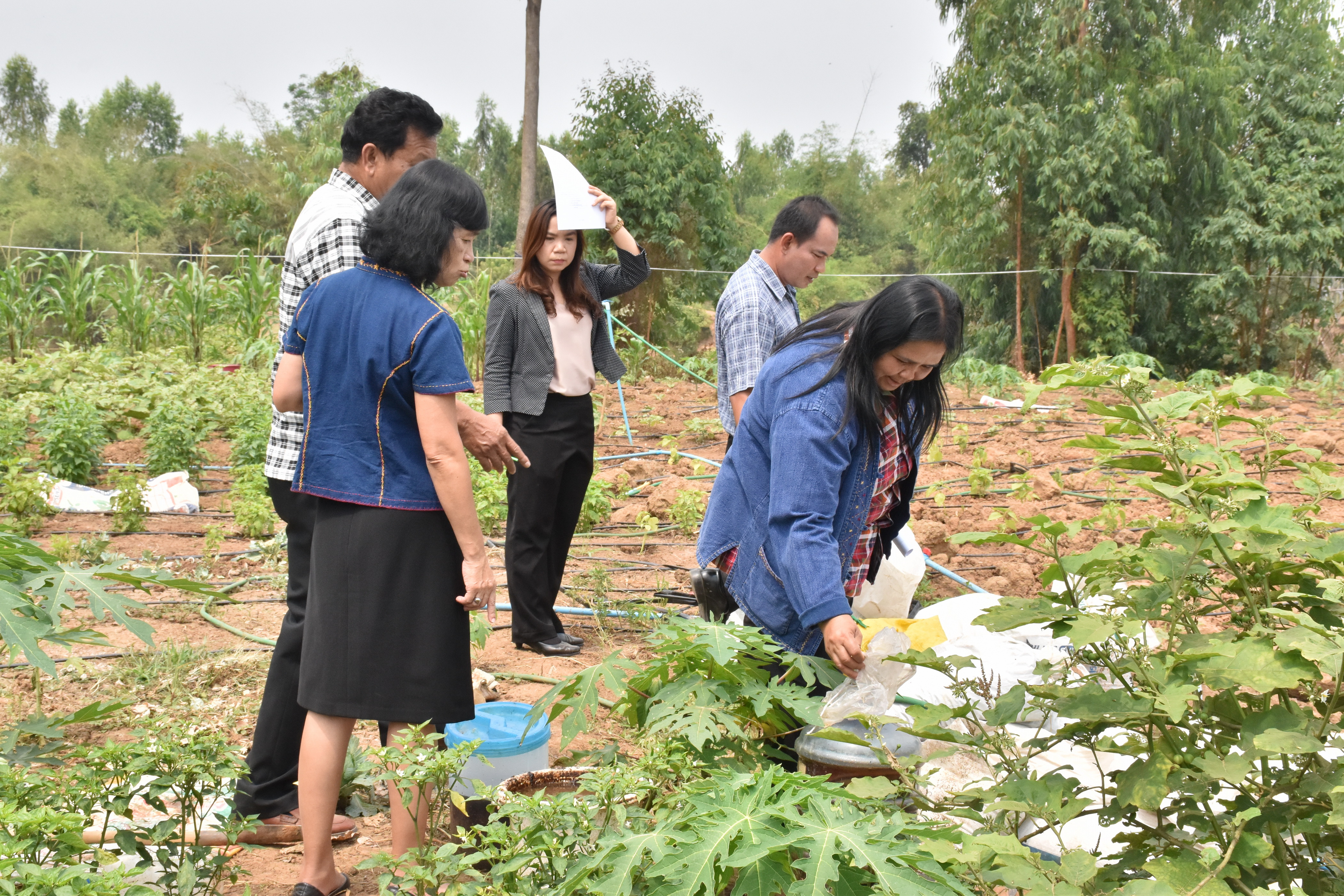 13 มีนาคม 2561 พัฒนาการจังหวัดมหาสารคาม เยี่ยมชมการดำเนินงาน ศูนย์เรียนรู้ชุมชนบ้านหินปูน หมู่ที่ 17 ตำบลเขวาใหญ่ อำเภอกันทรวิชัย จังหวัดมหาสารคาม