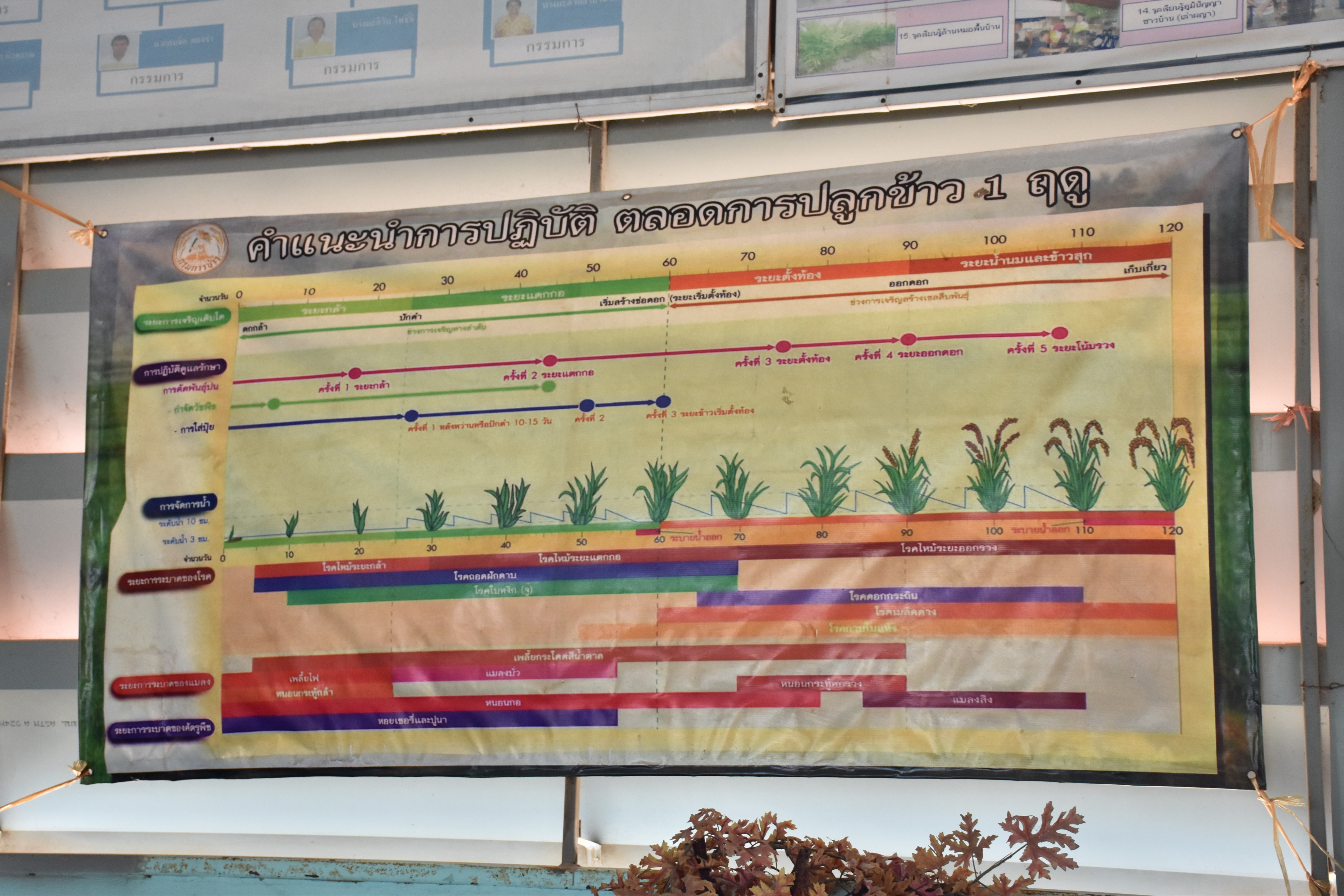 13 มีนาคม 2561 พัฒนาการจังหวัดมหาสารคาม เยี่ยมชมการดำเนินงาน ศูนย์เรียนรู้ชุมชนบ้านหินปูน หมู่ที่ 17 ตำบลเขวาใหญ่ อำเภอกันทรวิชัย จังหวัดมหาสารคาม