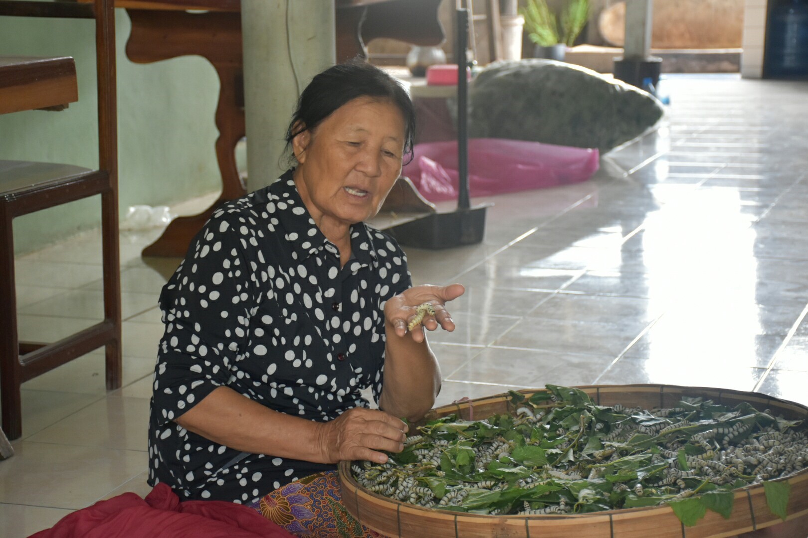 24 พฤษภาคม 2561 ผู้ตรวจราชการกระทรวงมหาดไทย ลงพื้นที่ติดตามการดำเนินงานการขับเคลื่อนการพัฒนาประเทศตามโครงการไทยนิยม ยั่งยืน เวทีที่ 4 ณ วัดโพธิ์หนองบุญชู หมู่ 17 บ้านหนองบุญชู ตำบลกู่ทอง อำเภอเชียงยืน จังหวัดมหาสารคาม
